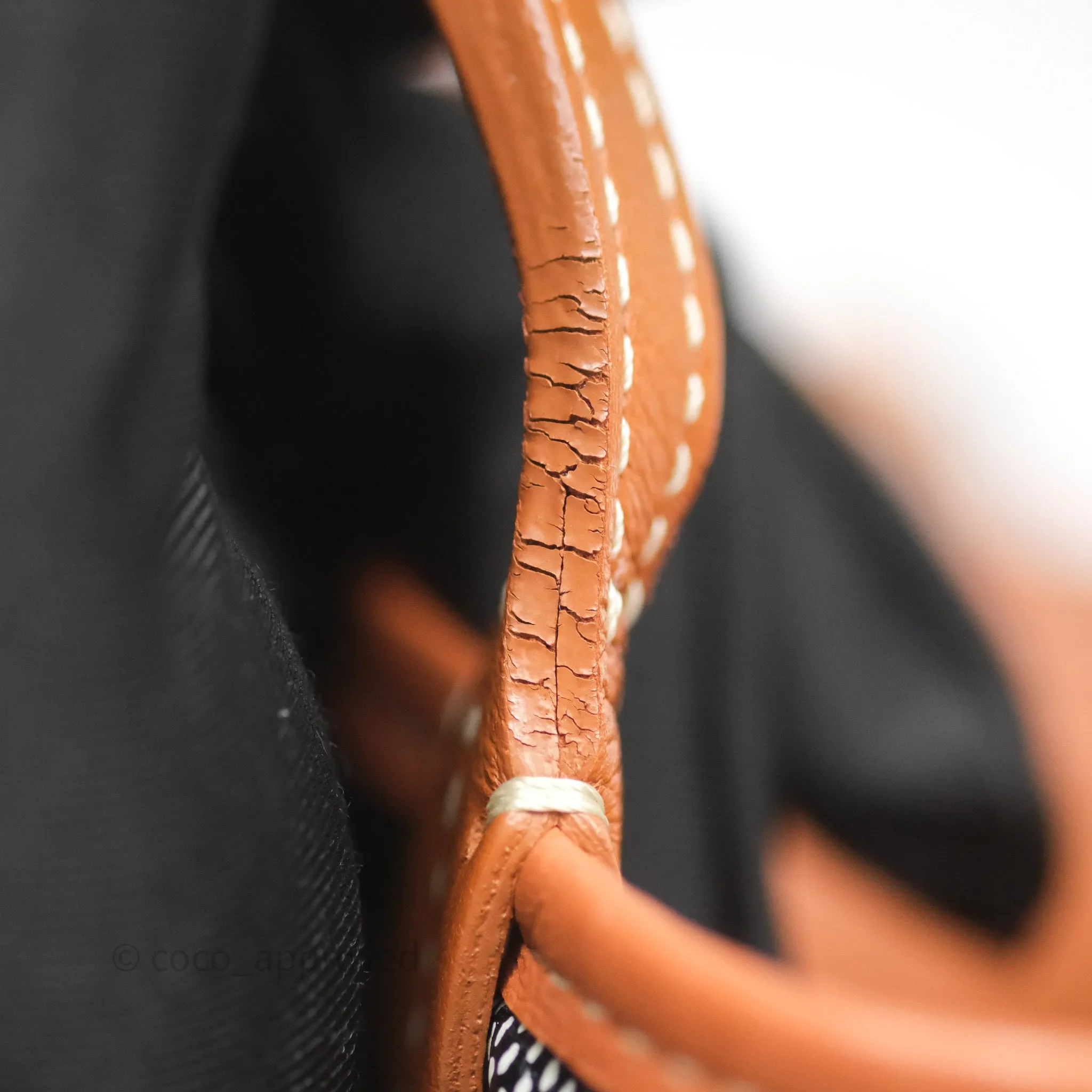 Goyard Anjou Mini Bag Goyardine Canvas Black/Tan