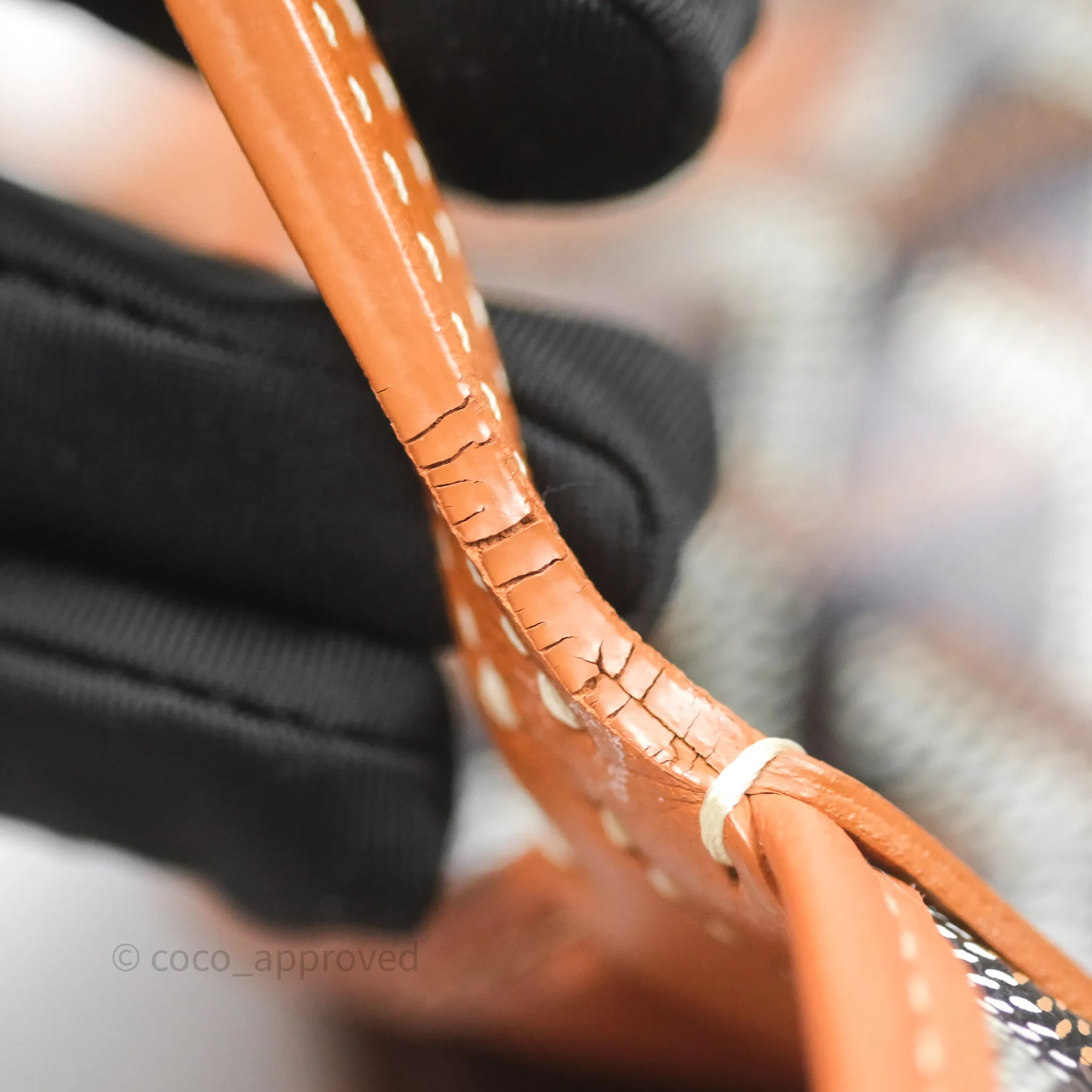 Goyard Anjou Mini Bag Goyardine Canvas Black/Tan