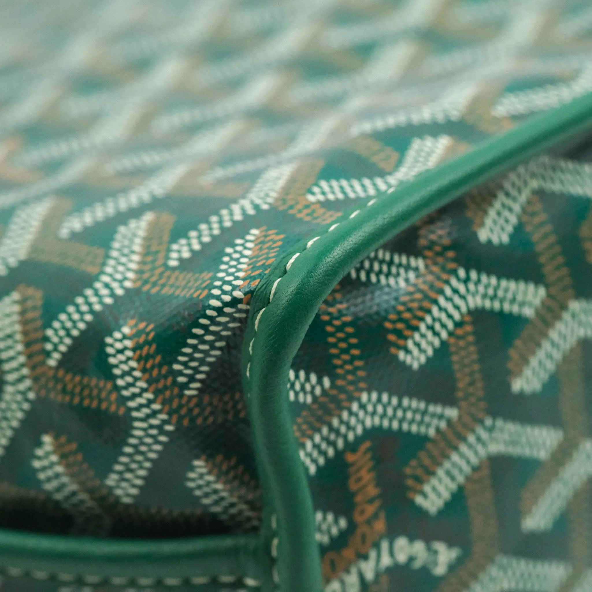 Goyard Anjou Mini Bag Goyardine Canvas Green