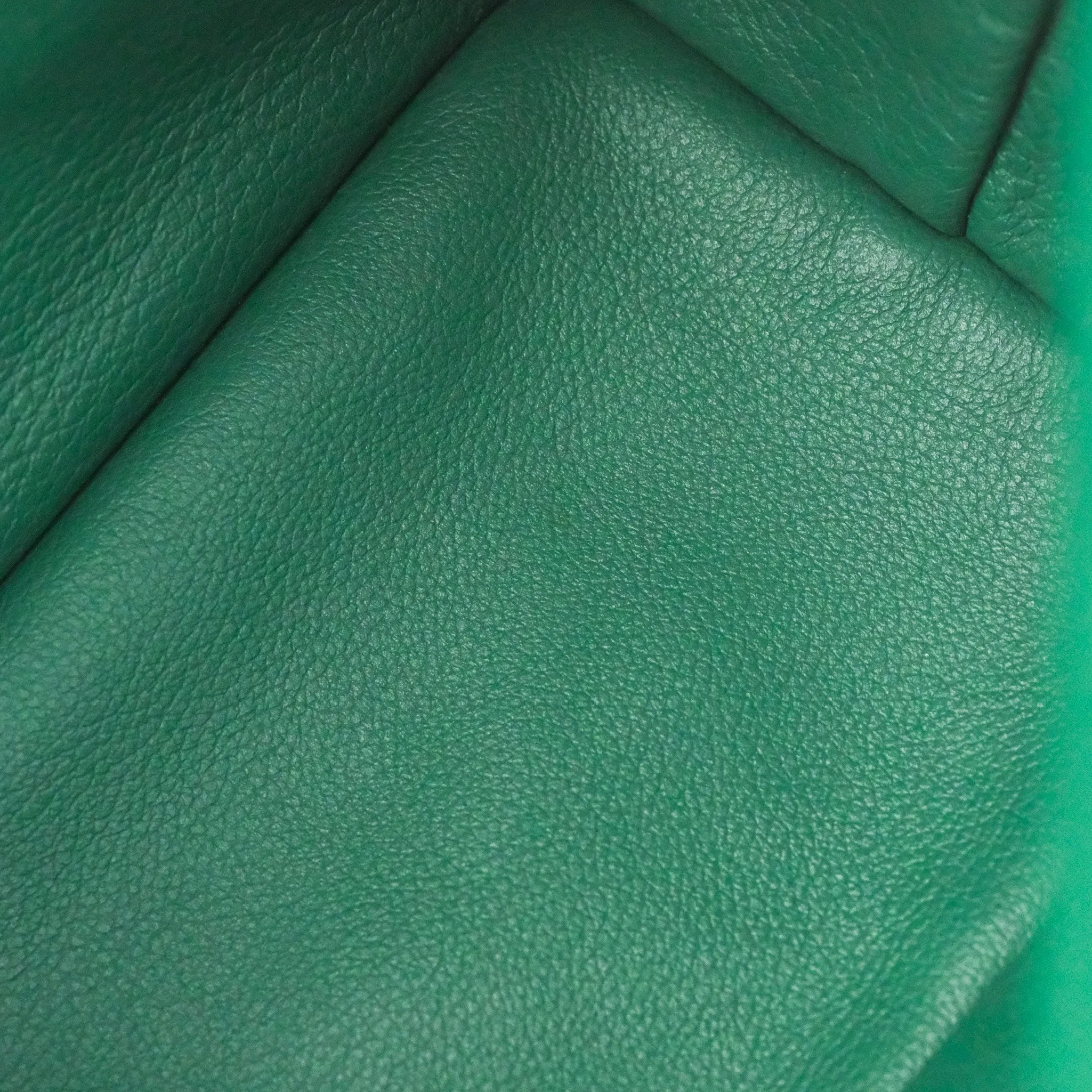 Goyard Anjou Mini Bag Goyardine Canvas Green