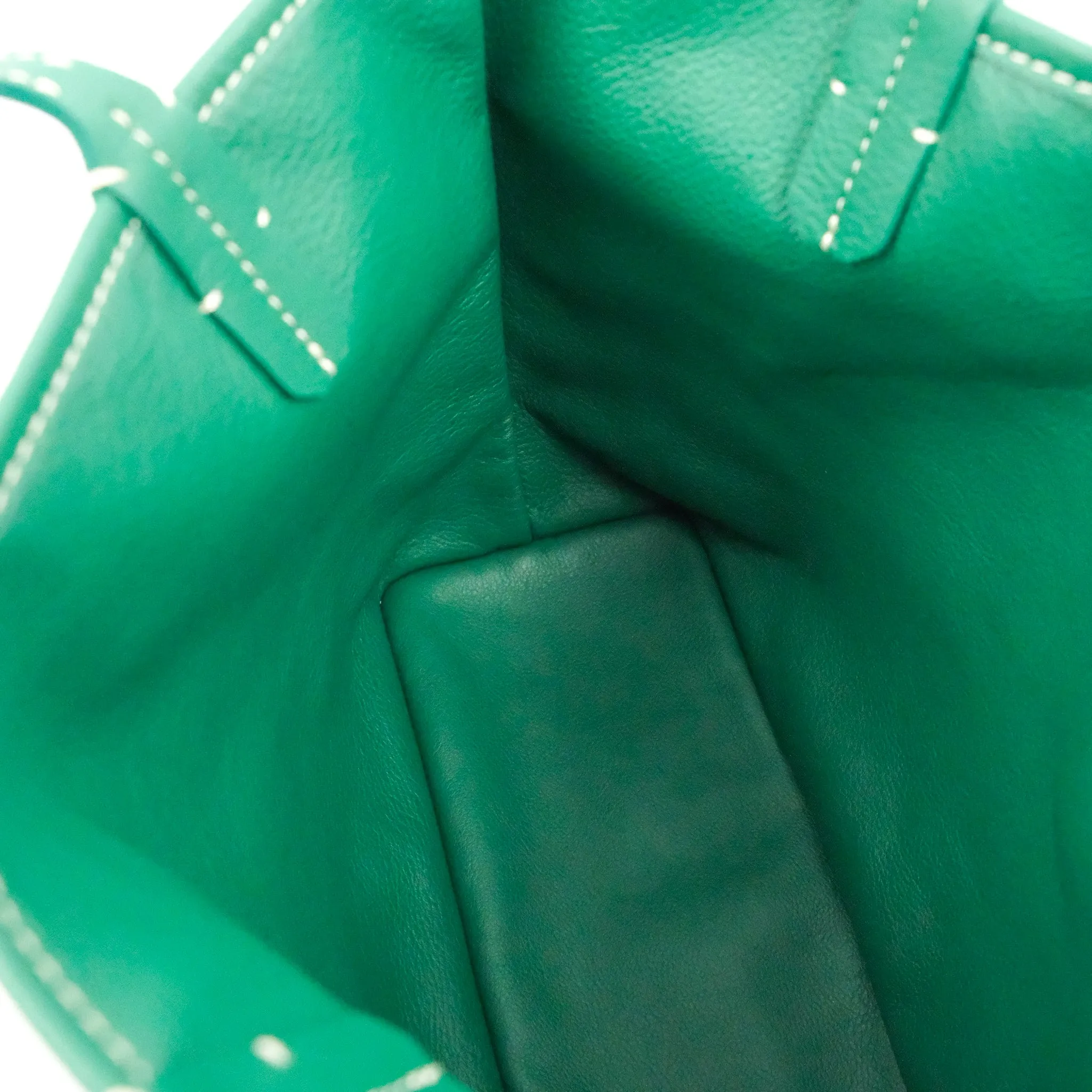 Goyard Anjou Mini Bag Goyardine Canvas Green