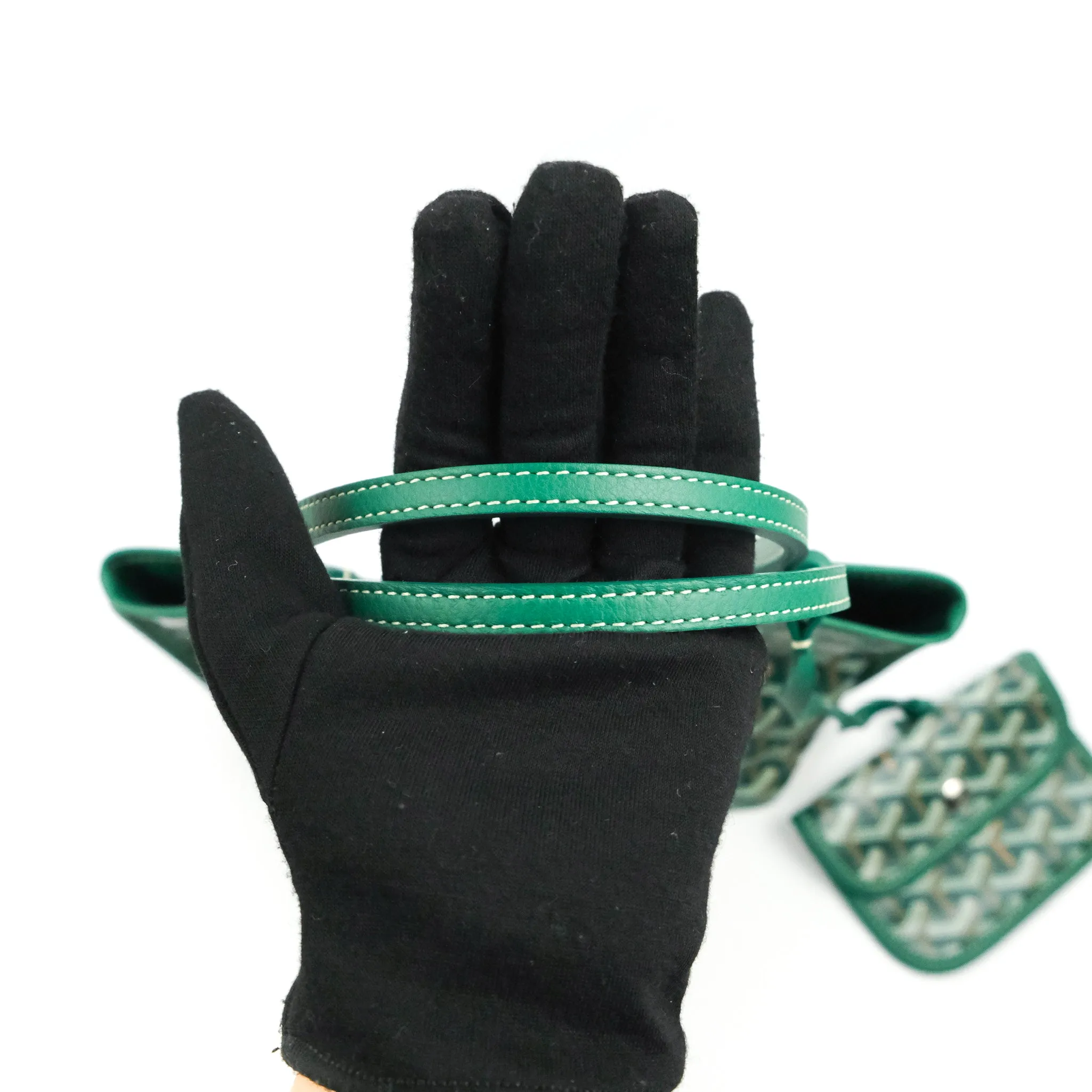 Goyard Anjou Mini Bag Goyardine Canvas Green