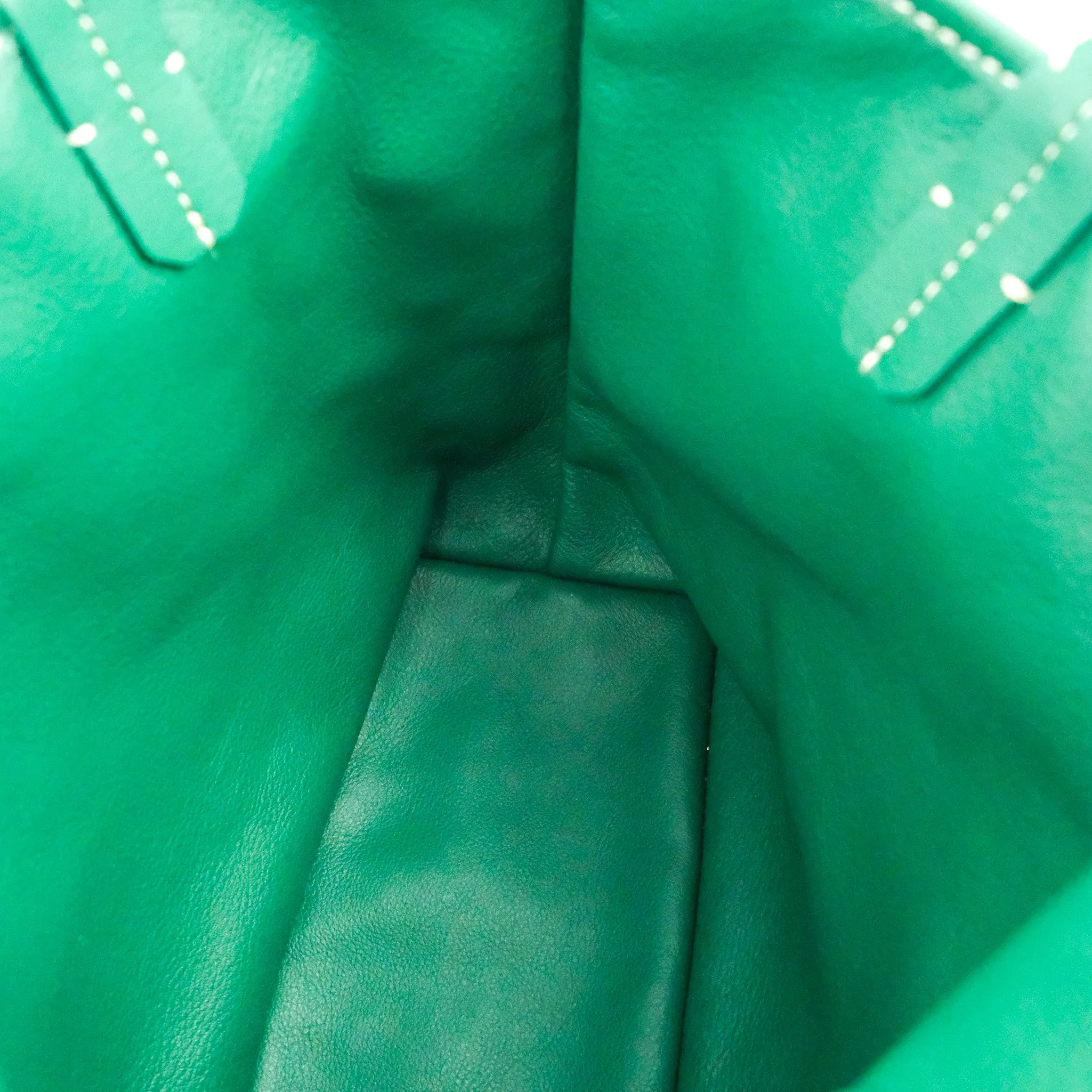 Goyard Anjou Mini Bag Goyardine Canvas Green