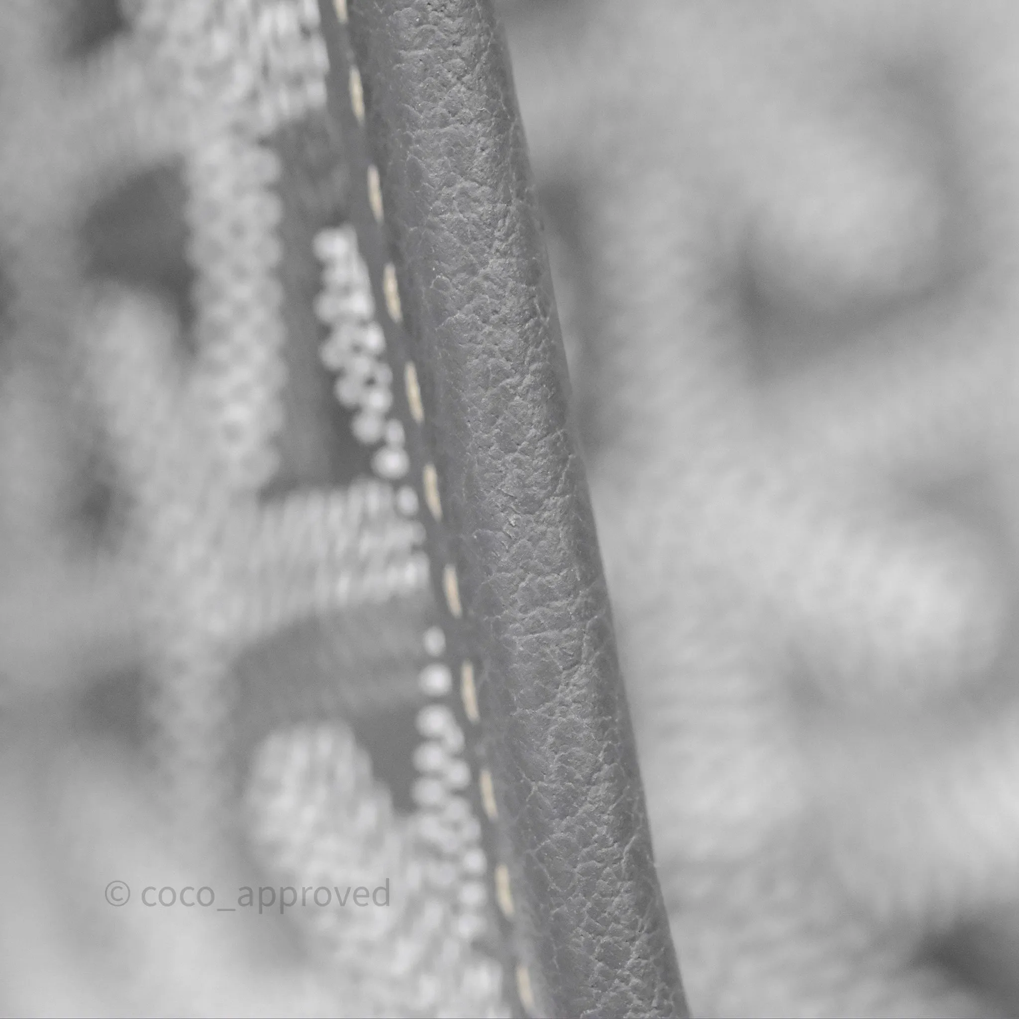 Goyard Anjou Mini Bag Goyardine Canvas Grey