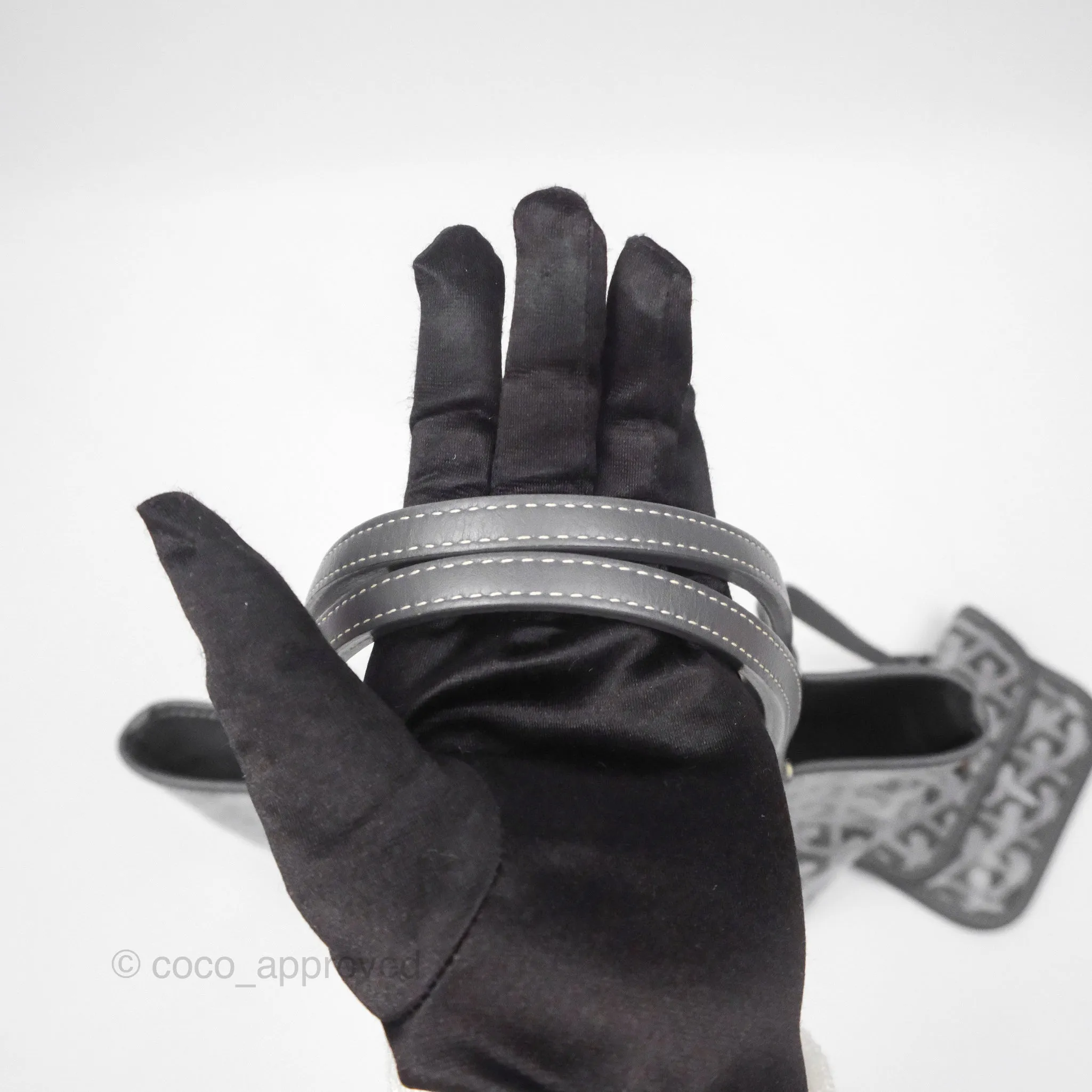 Goyard Anjou Mini Bag Goyardine Canvas Grey