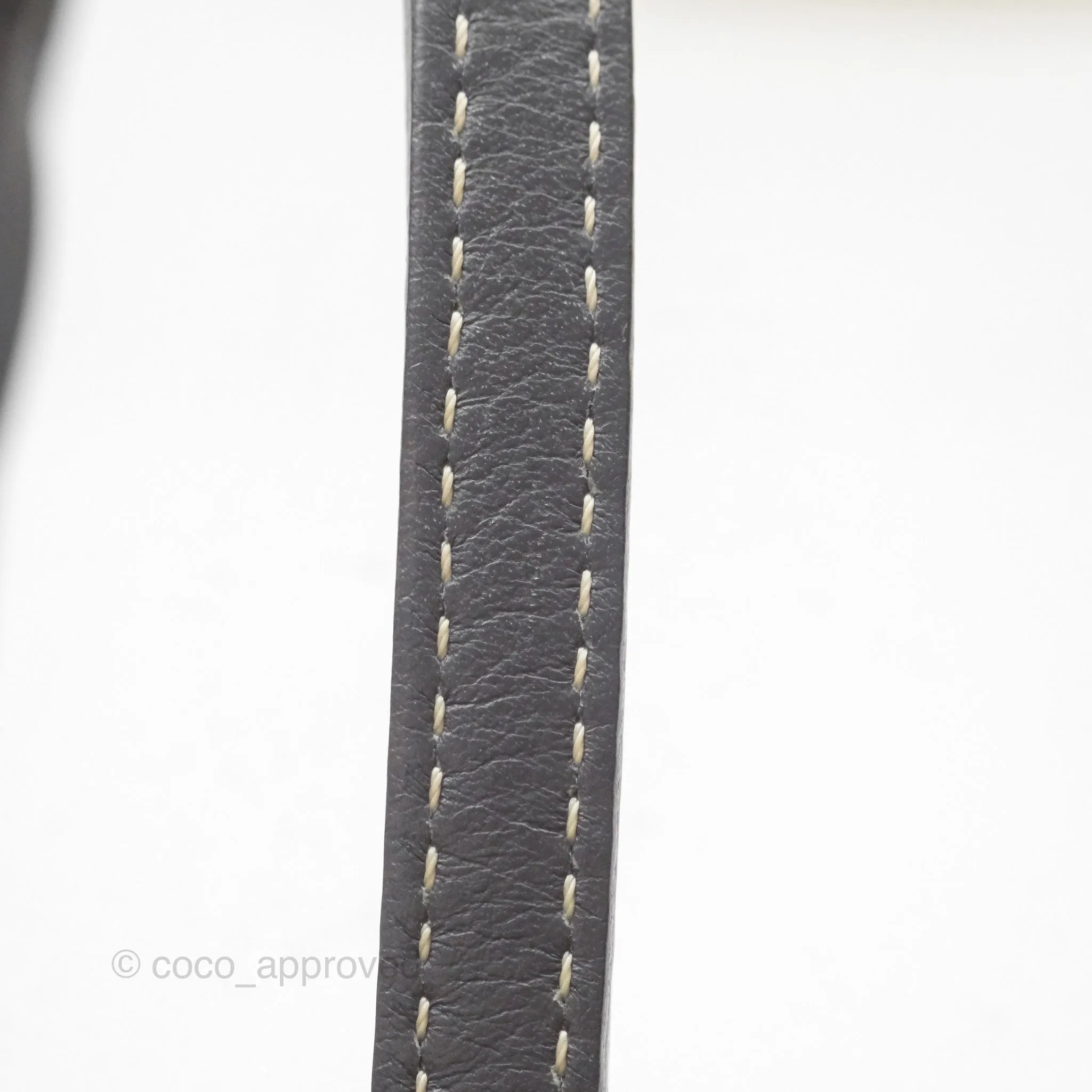 Goyard Anjou Mini Bag Goyardine Canvas Grey