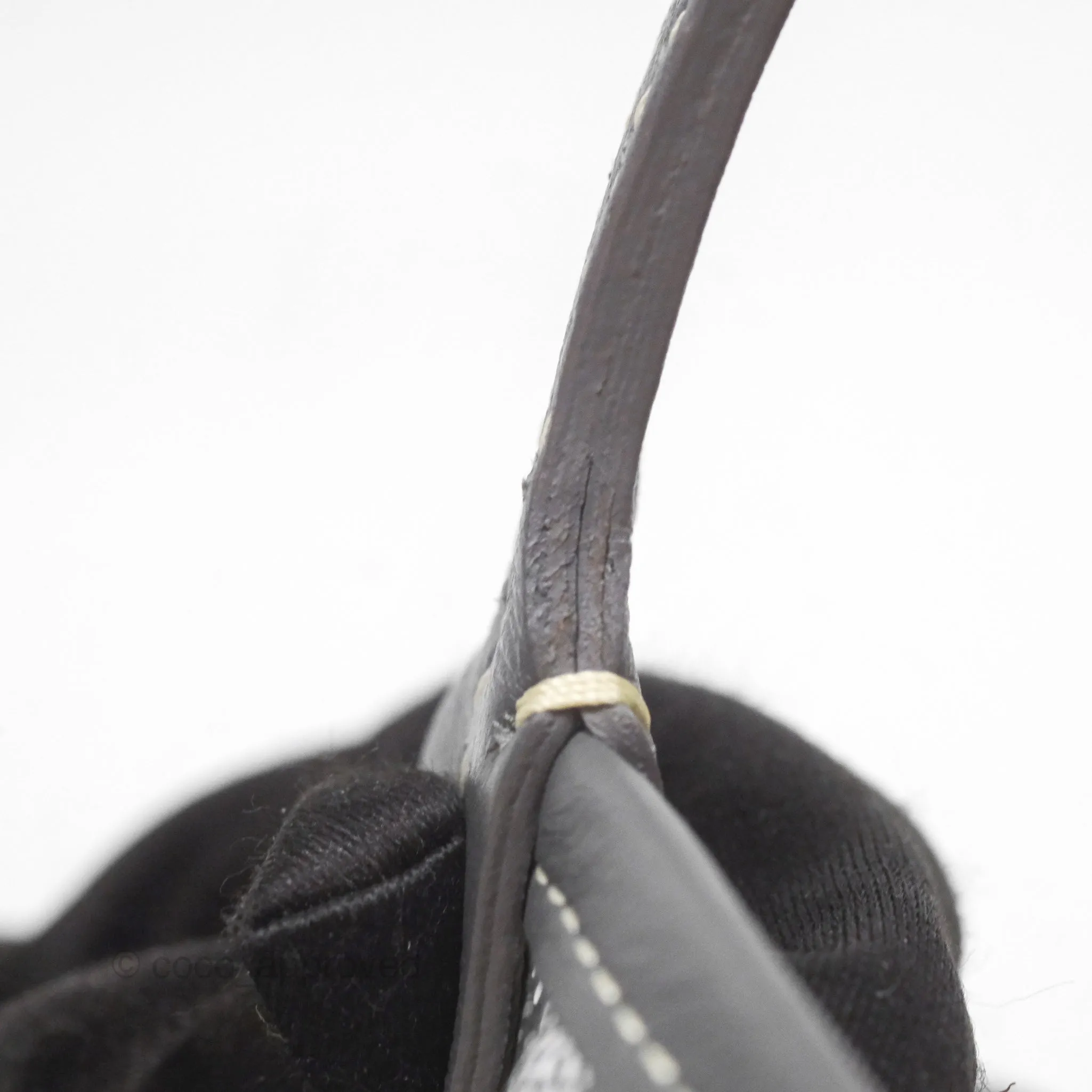 Goyard Anjou Mini Bag Goyardine Canvas Grey
