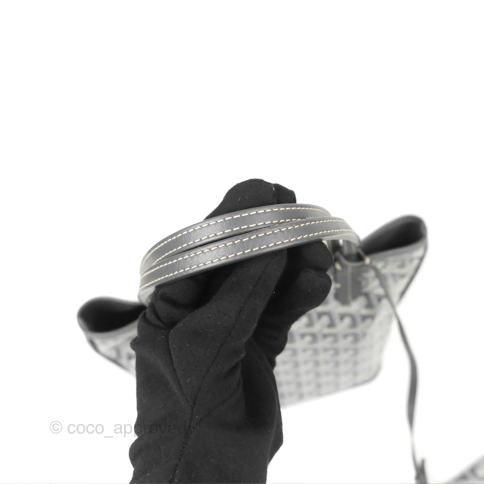Goyard Anjou Mini Bag Goyardine Canvas Grey