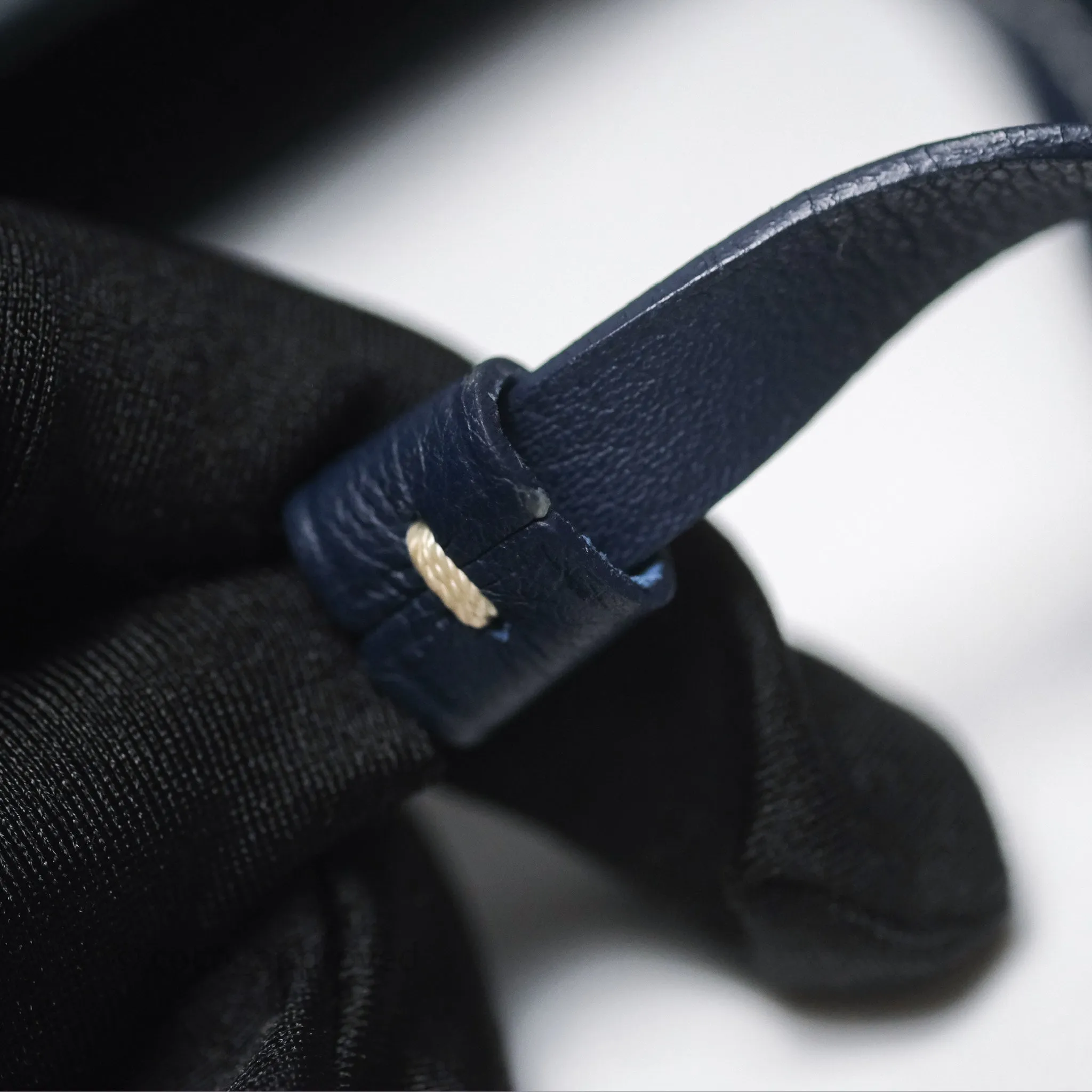 Goyard Anjou Mini Bag Goyardine Canvas Navy
