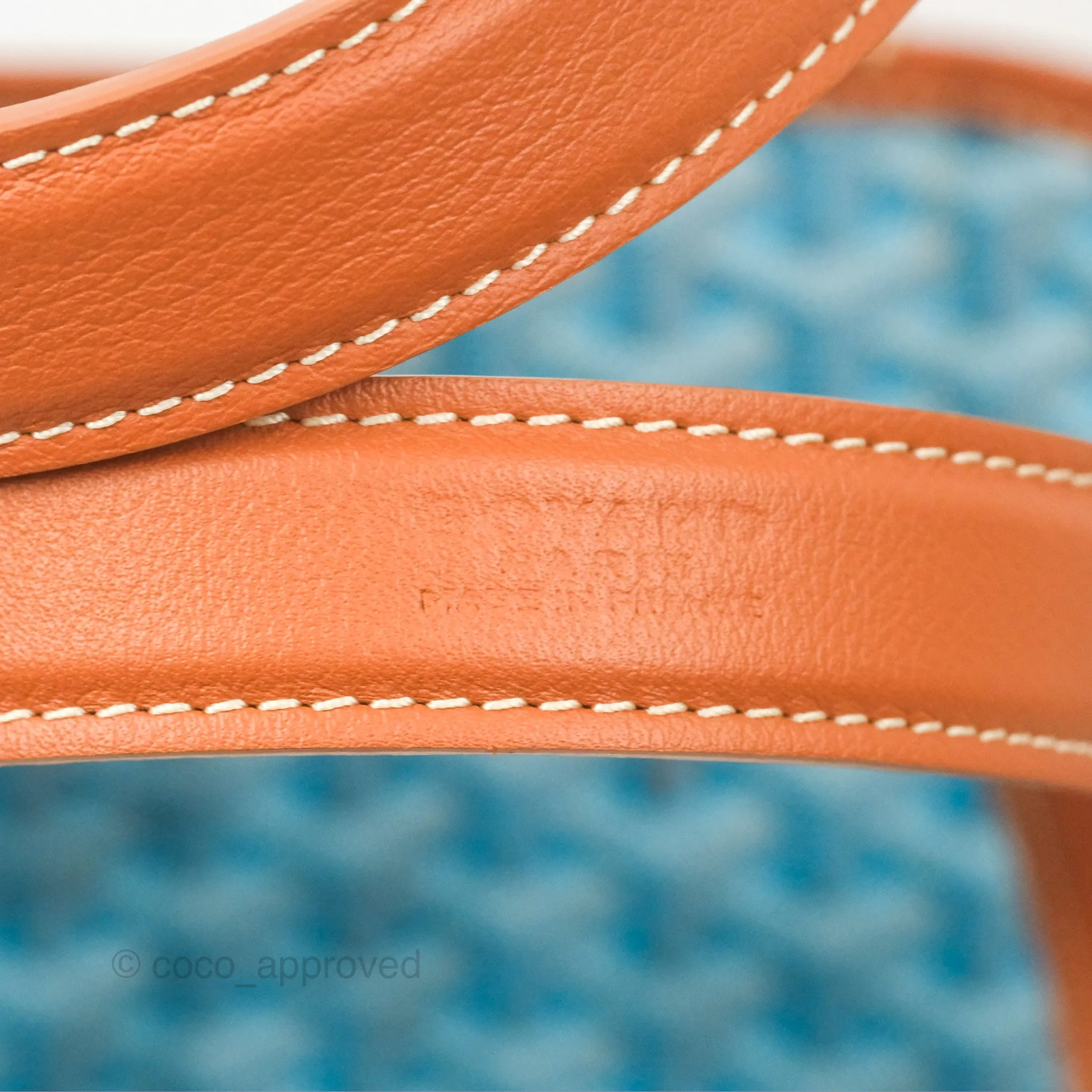 Goyard Belharra Bag Reversible Turquoise & Tan