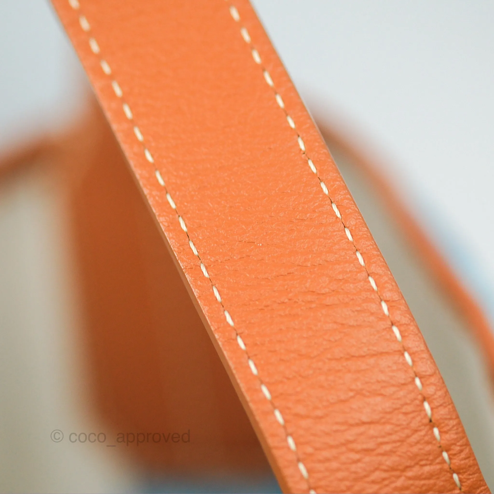 Goyard Belharra Bag Reversible Turquoise & Tan