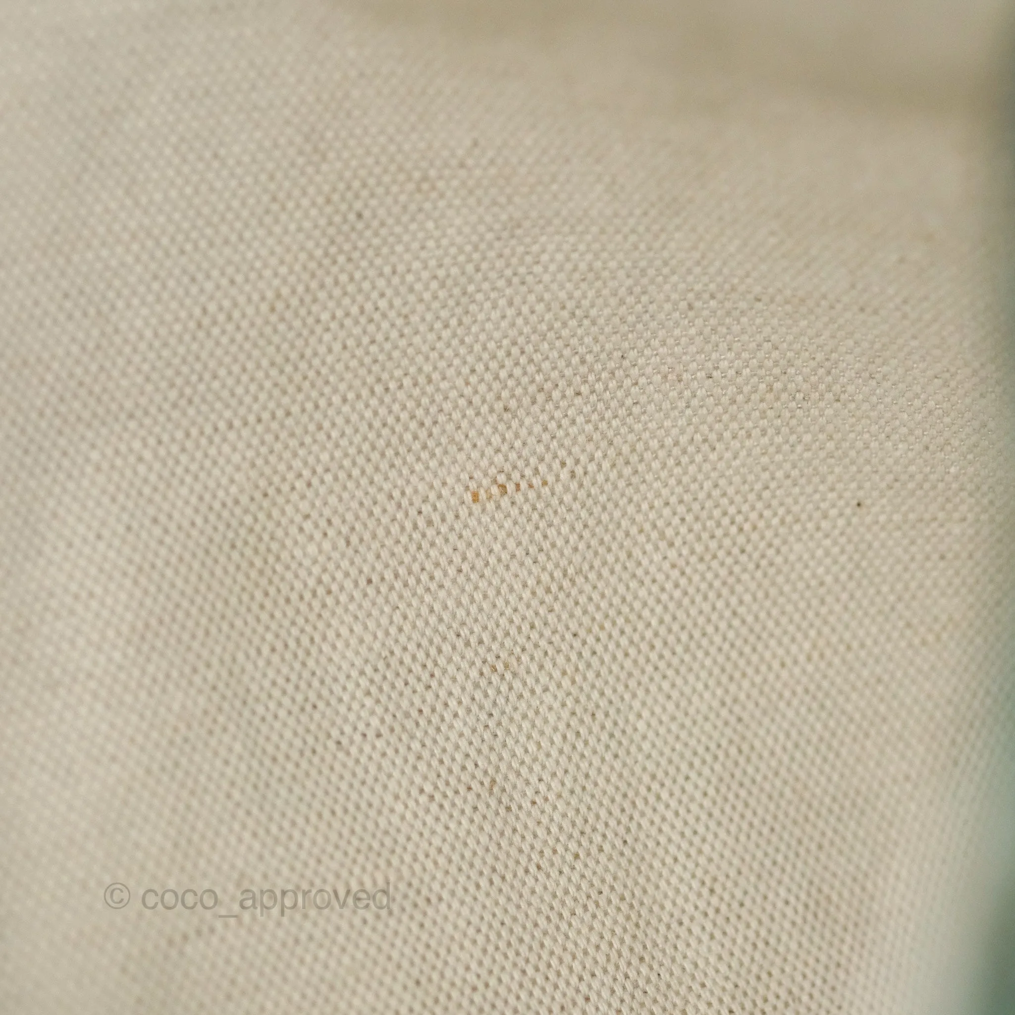 Goyard Bohme Hobo Bag Green Goyardine Canvas