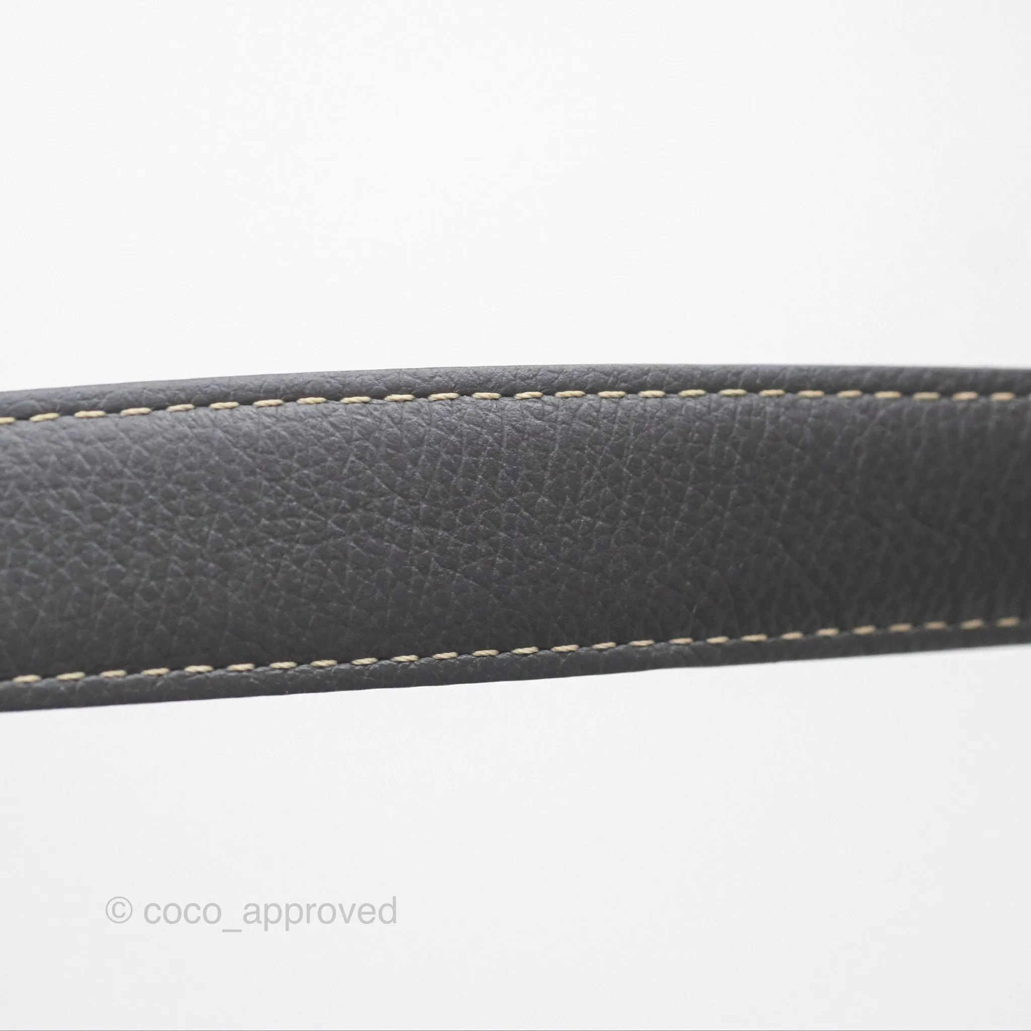 Goyard Bohme Hobo Bag Grey Goyardine Canvas