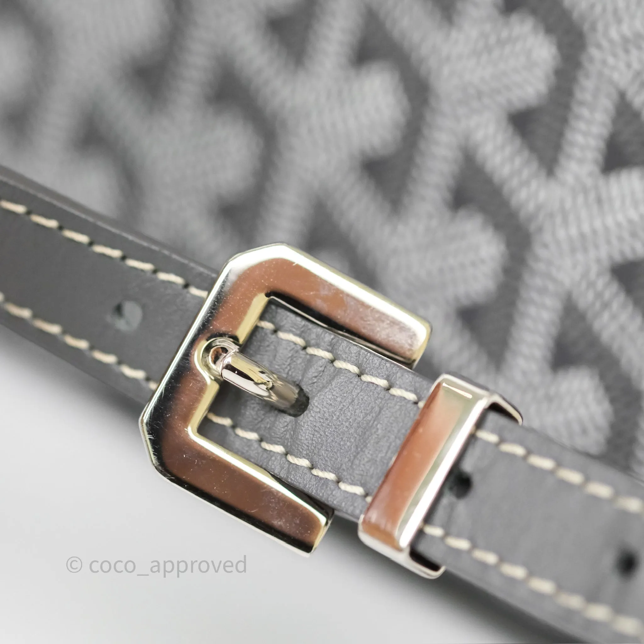 Goyard Cap-Vert PM Bag Grey Goyardine