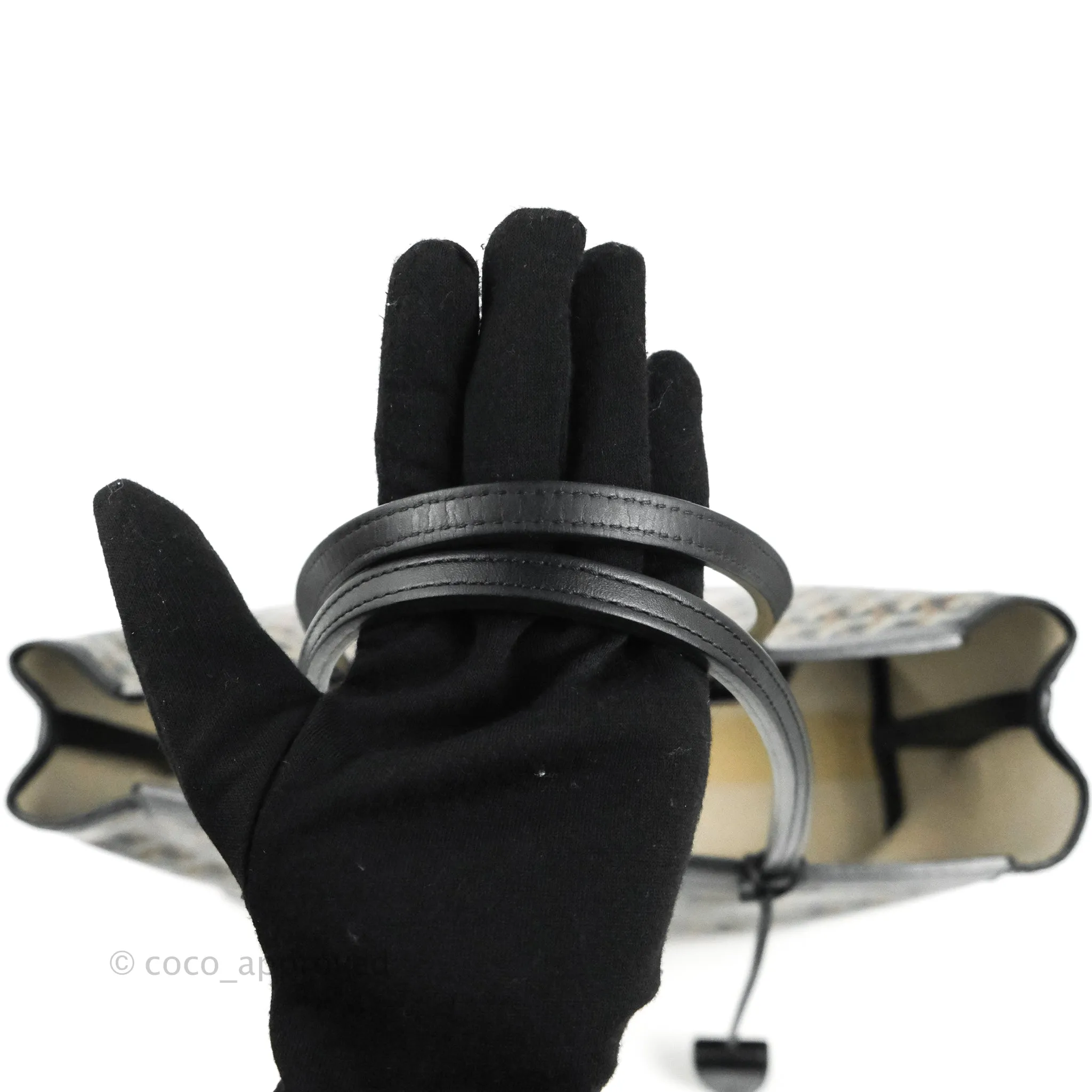 Goyard Goyardine Bellechasse PM Black