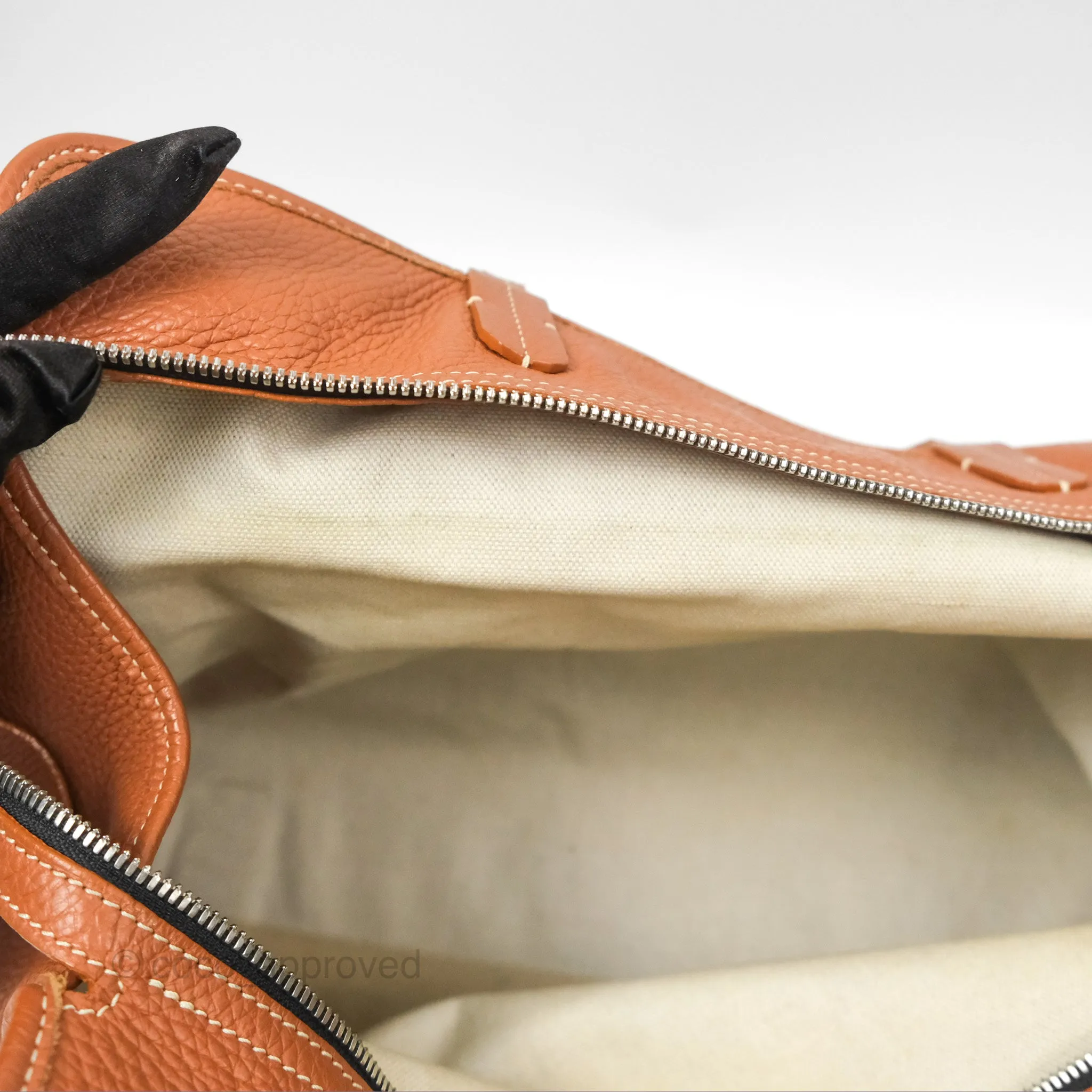 Goyard Hardy Pet Carrier PM Goyardine Canvas Black Tan