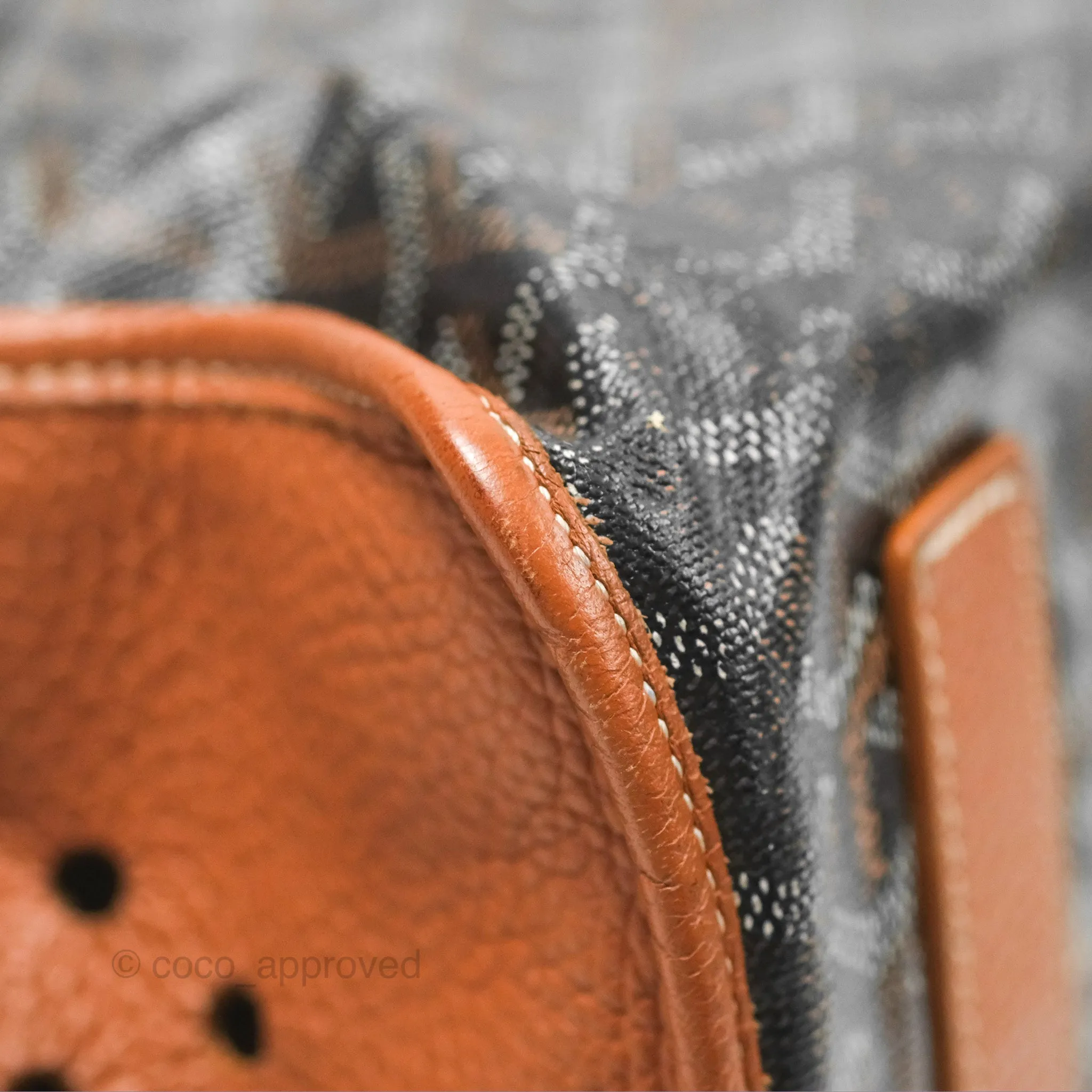 Goyard Hardy Pet Carrier PM Goyardine Canvas Black Tan