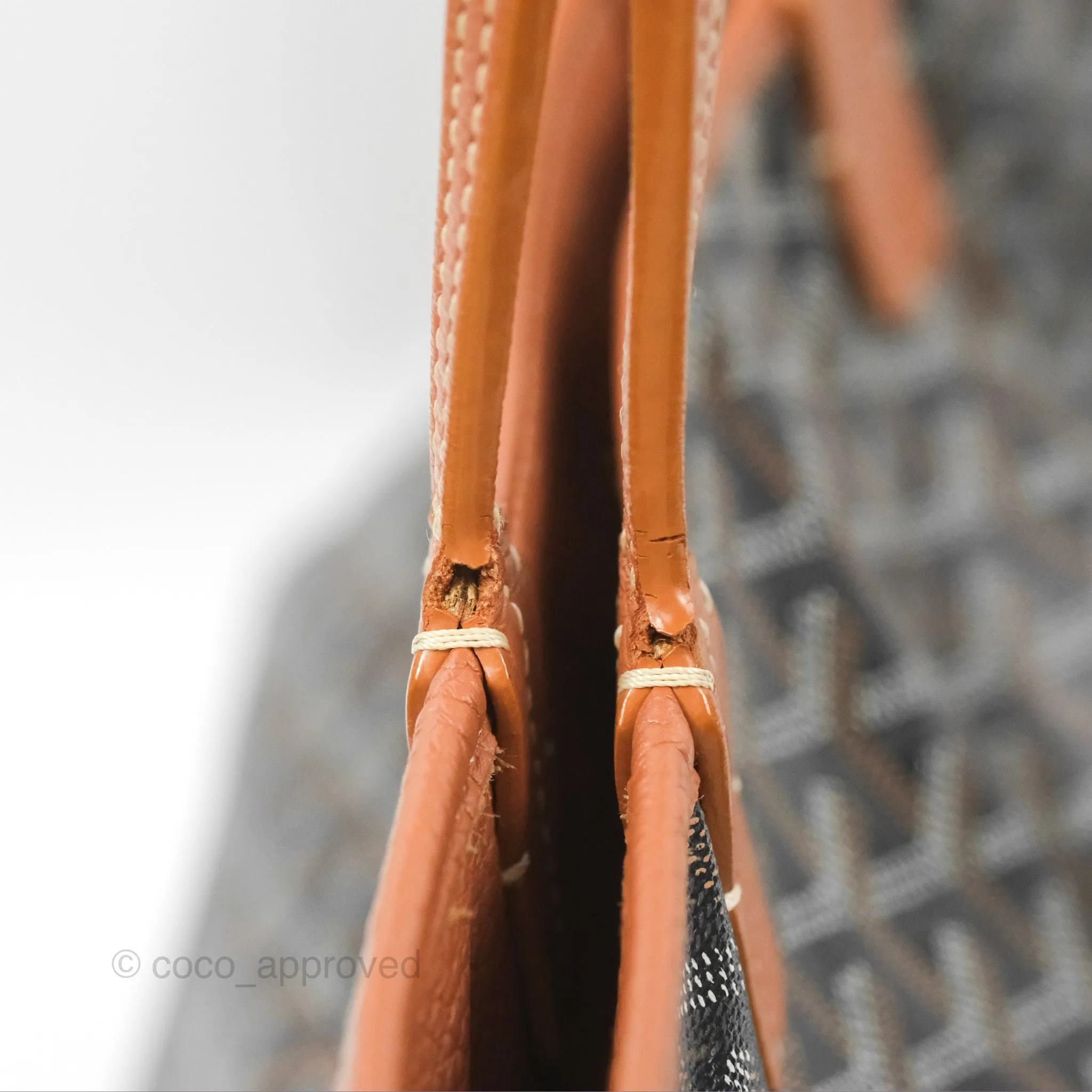 Goyard Hardy Pet Carrier PM Goyardine Canvas Black Tan