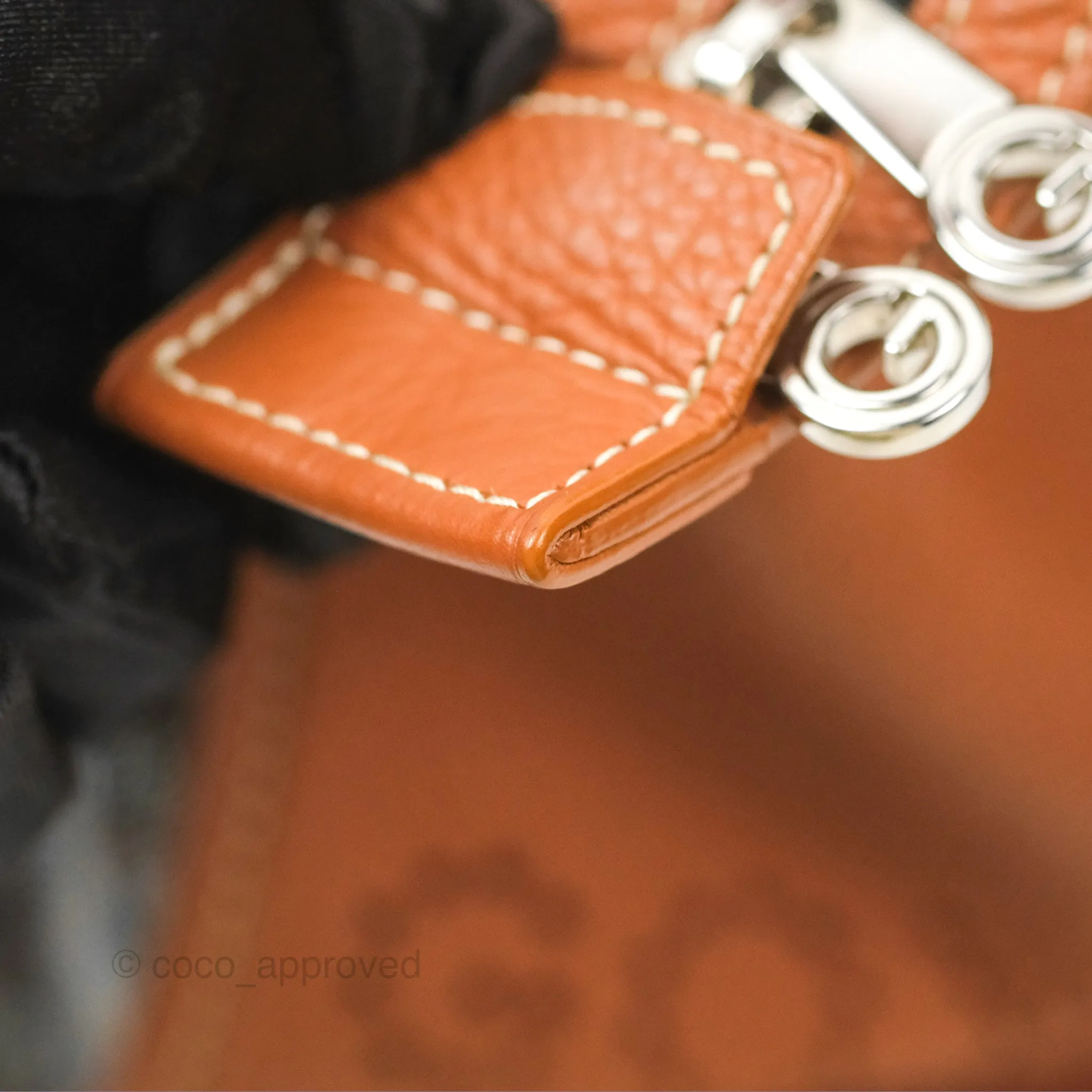 Goyard Hardy Pet Carrier PM Goyardine Canvas Black Tan