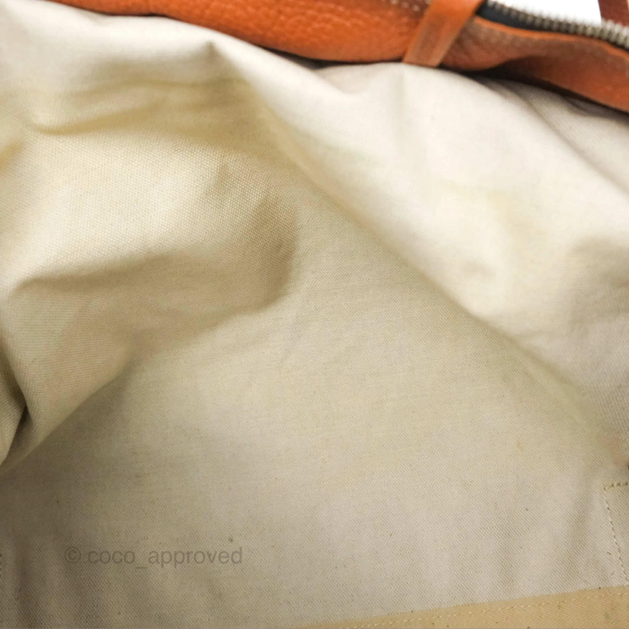 Goyard Hardy Pet Carrier PM Goyardine Canvas Black Tan