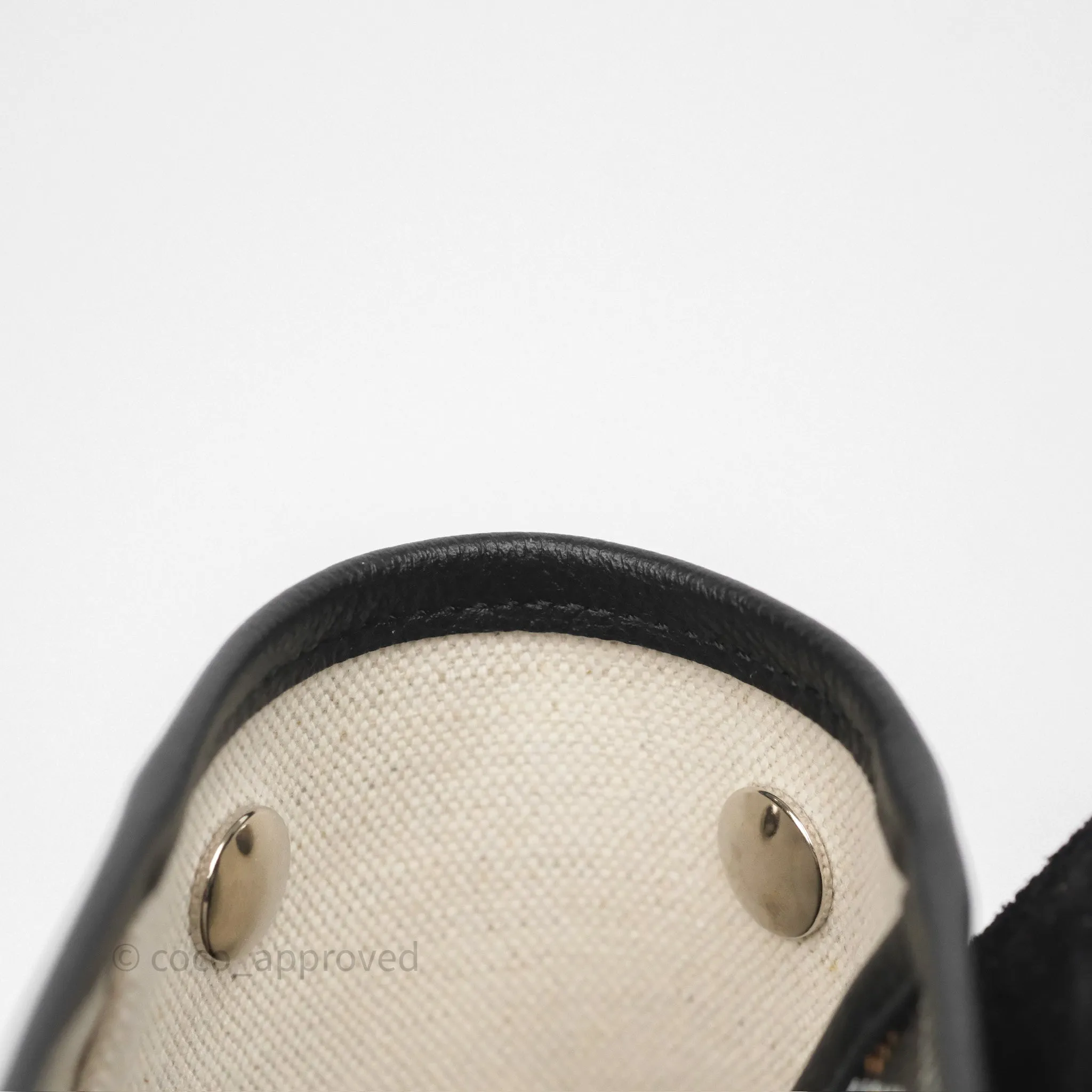 Goyard Mini Alpin Backpack Black Goyardine Calfskin