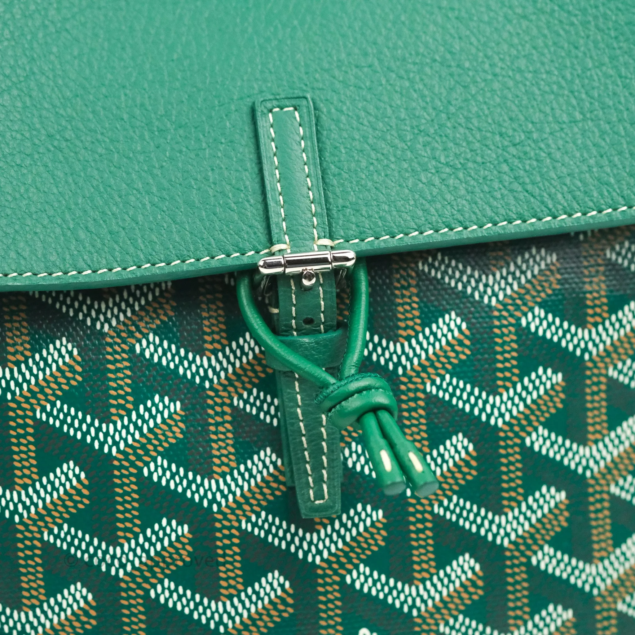 Goyard Mini Alpin Backpack Green Goyardine Calfskin