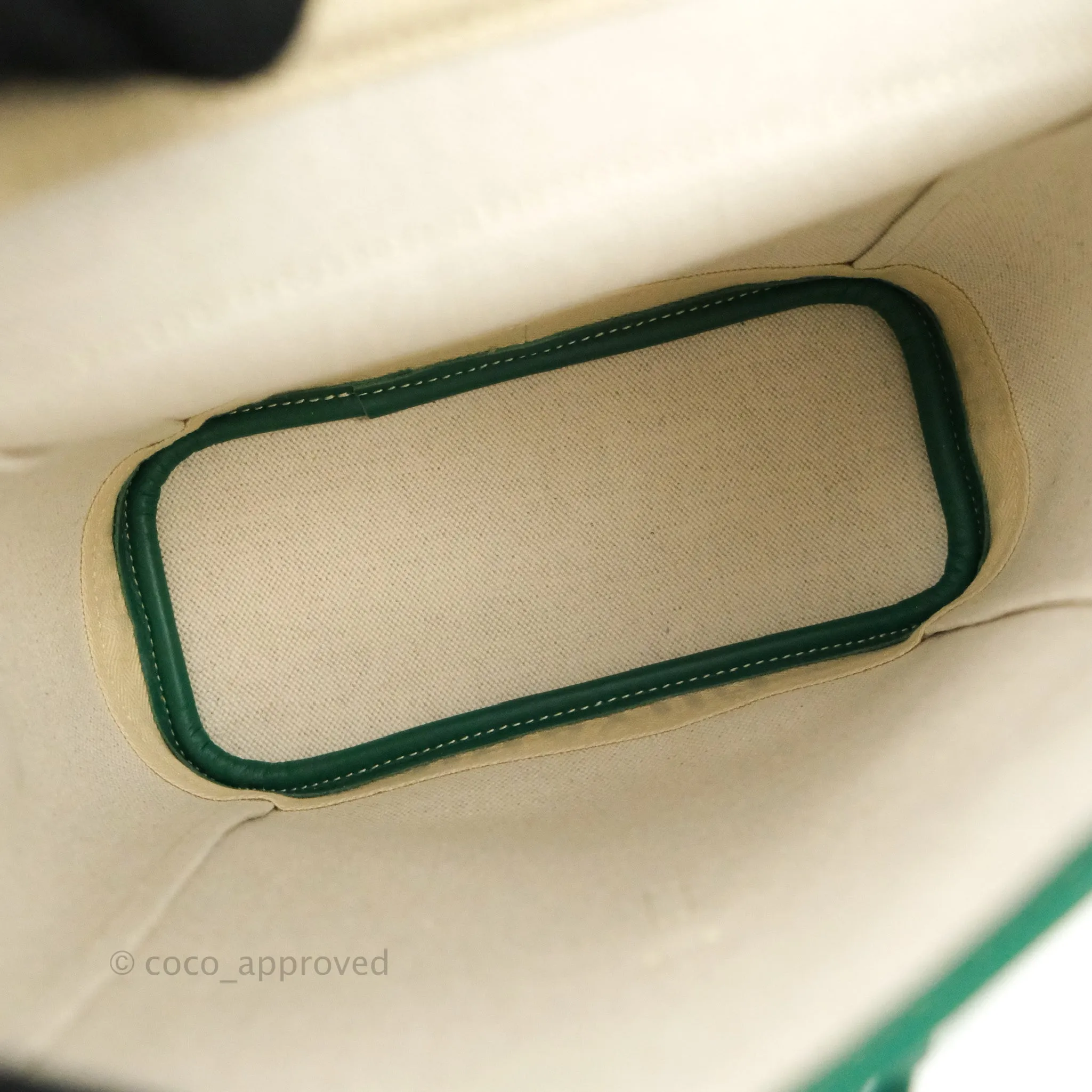 Goyard Mini Alpin Backpack Green Goyardine Calfskin