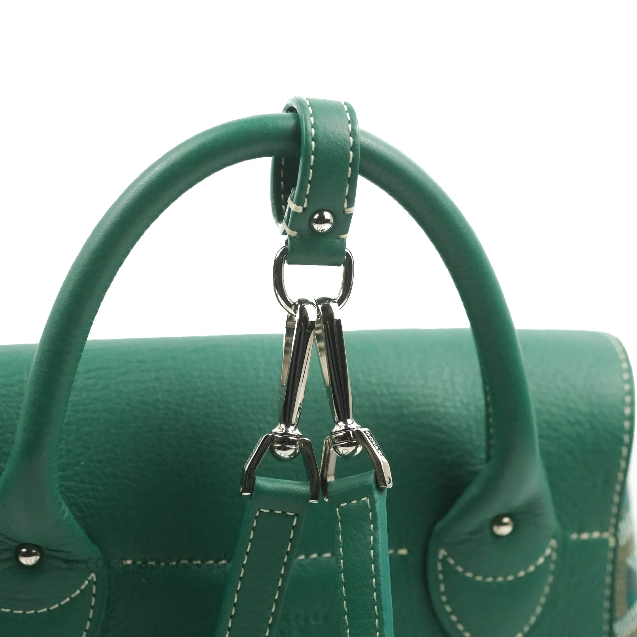 Goyard Mini Alpin Backpack Green Goyardine Calfskin