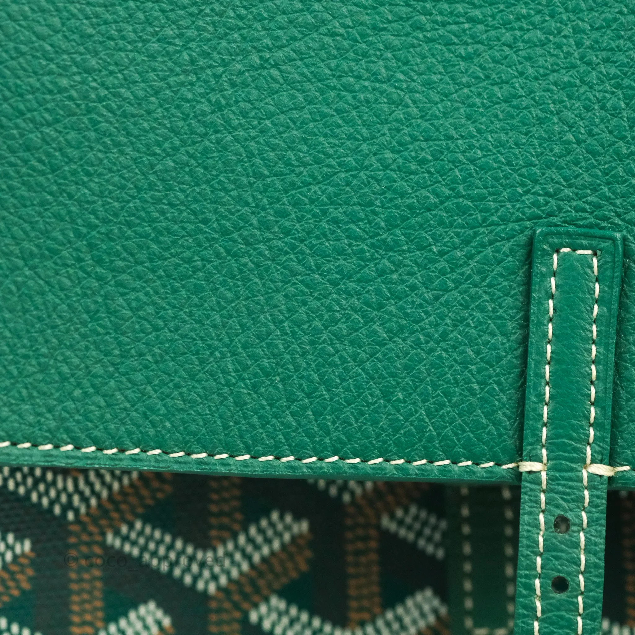 Goyard Mini Alpin Backpack Green Goyardine Calfskin