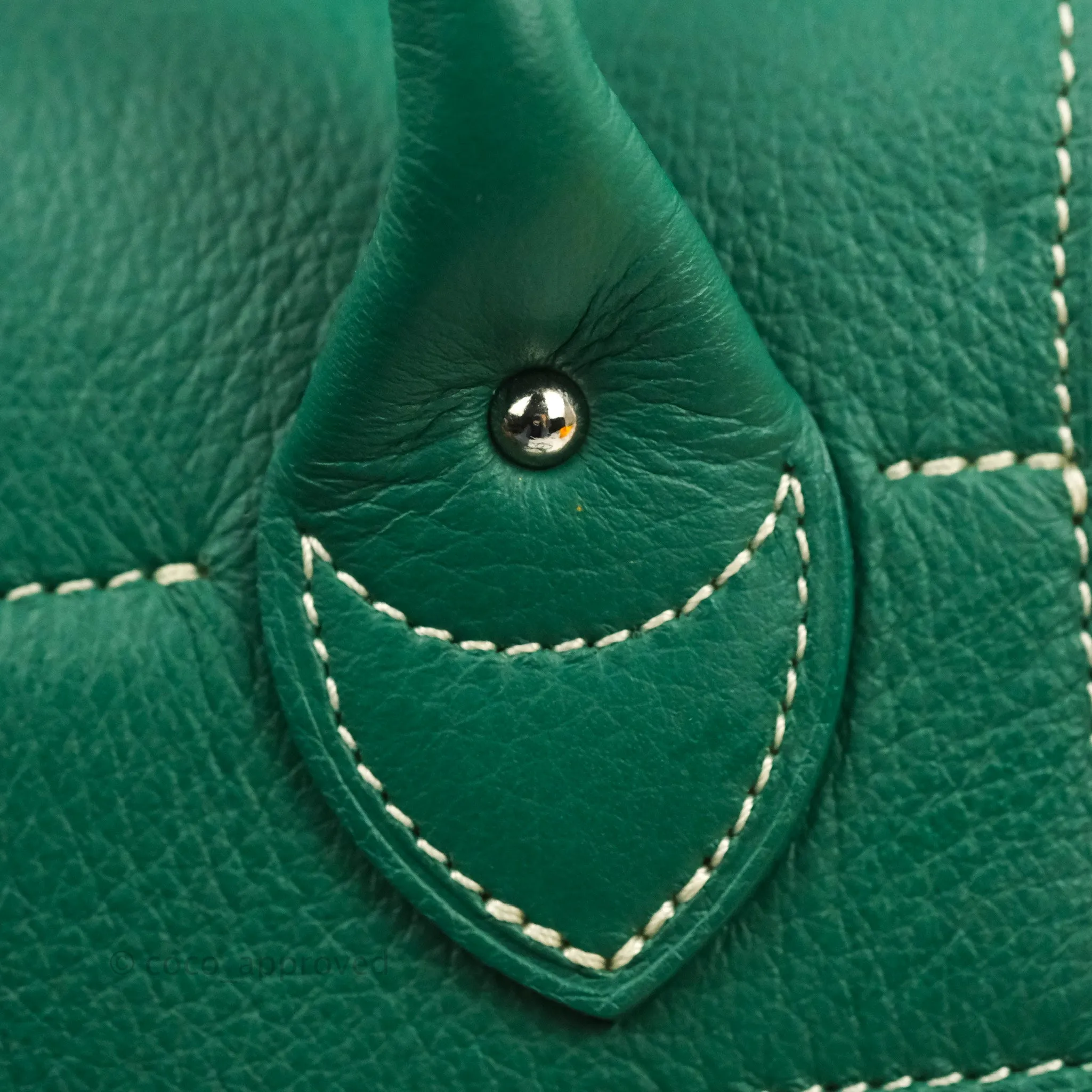 Goyard Mini Alpin Backpack Green Goyardine Calfskin