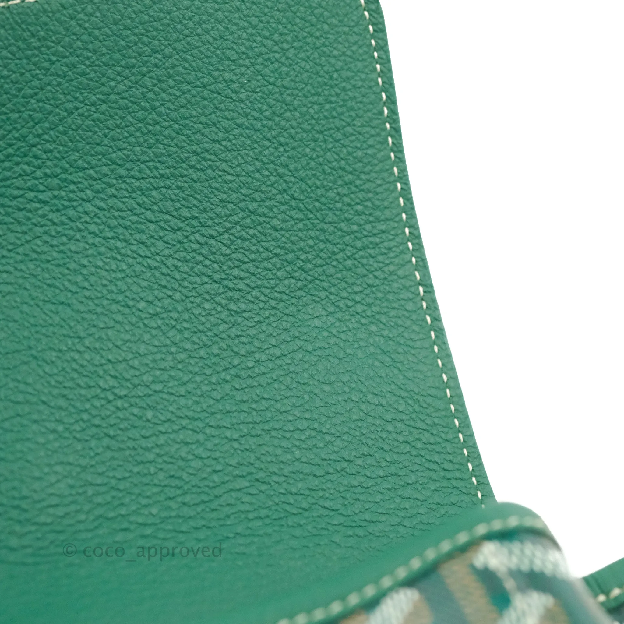 Goyard Mini Alpin Backpack Green Goyardine Calfskin