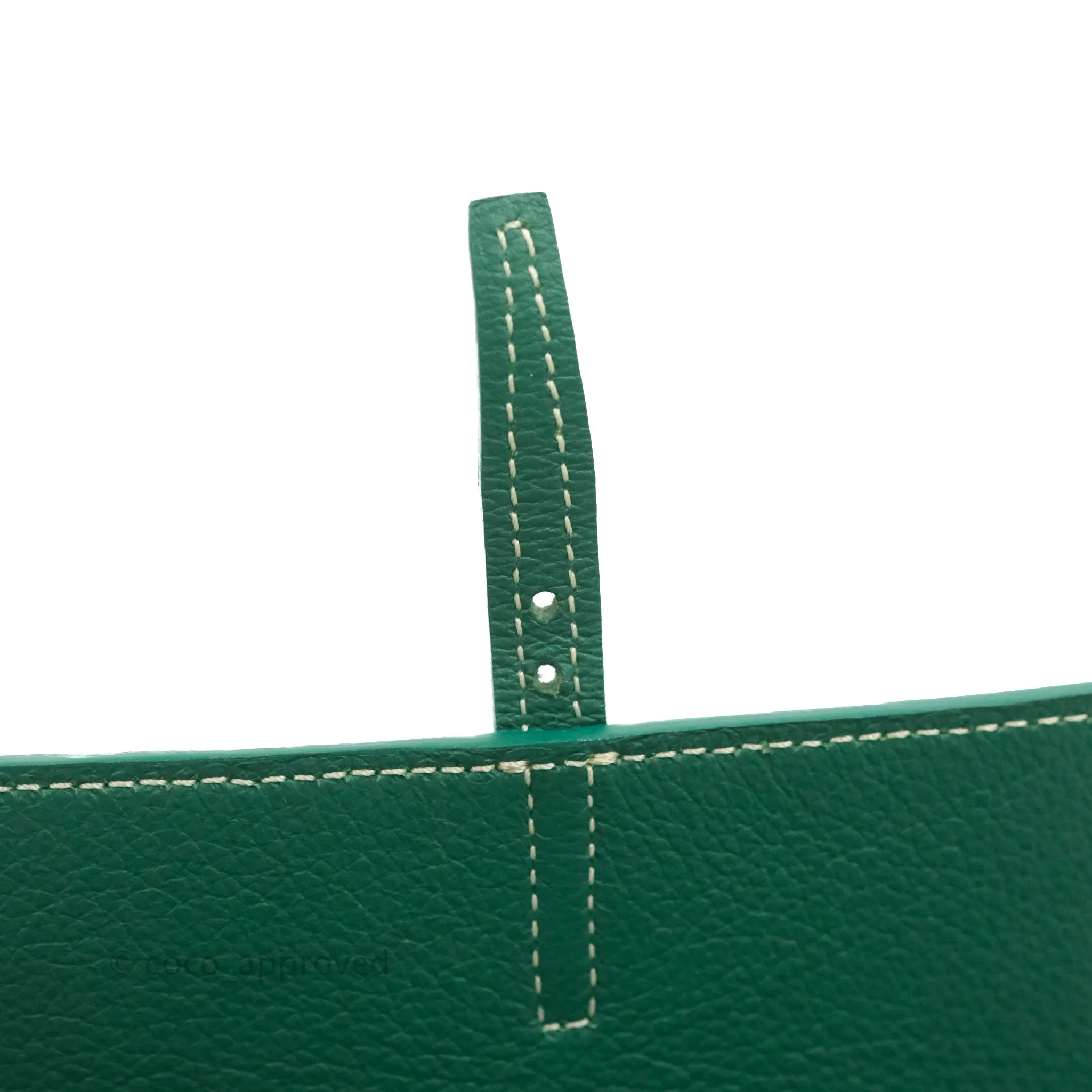 Goyard Mini Alpin Backpack Green Goyardine Calfskin
