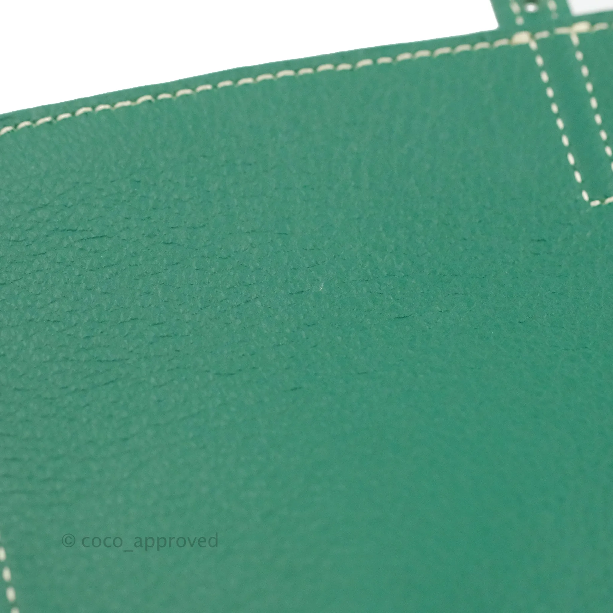 Goyard Mini Alpin Backpack Green Goyardine Calfskin