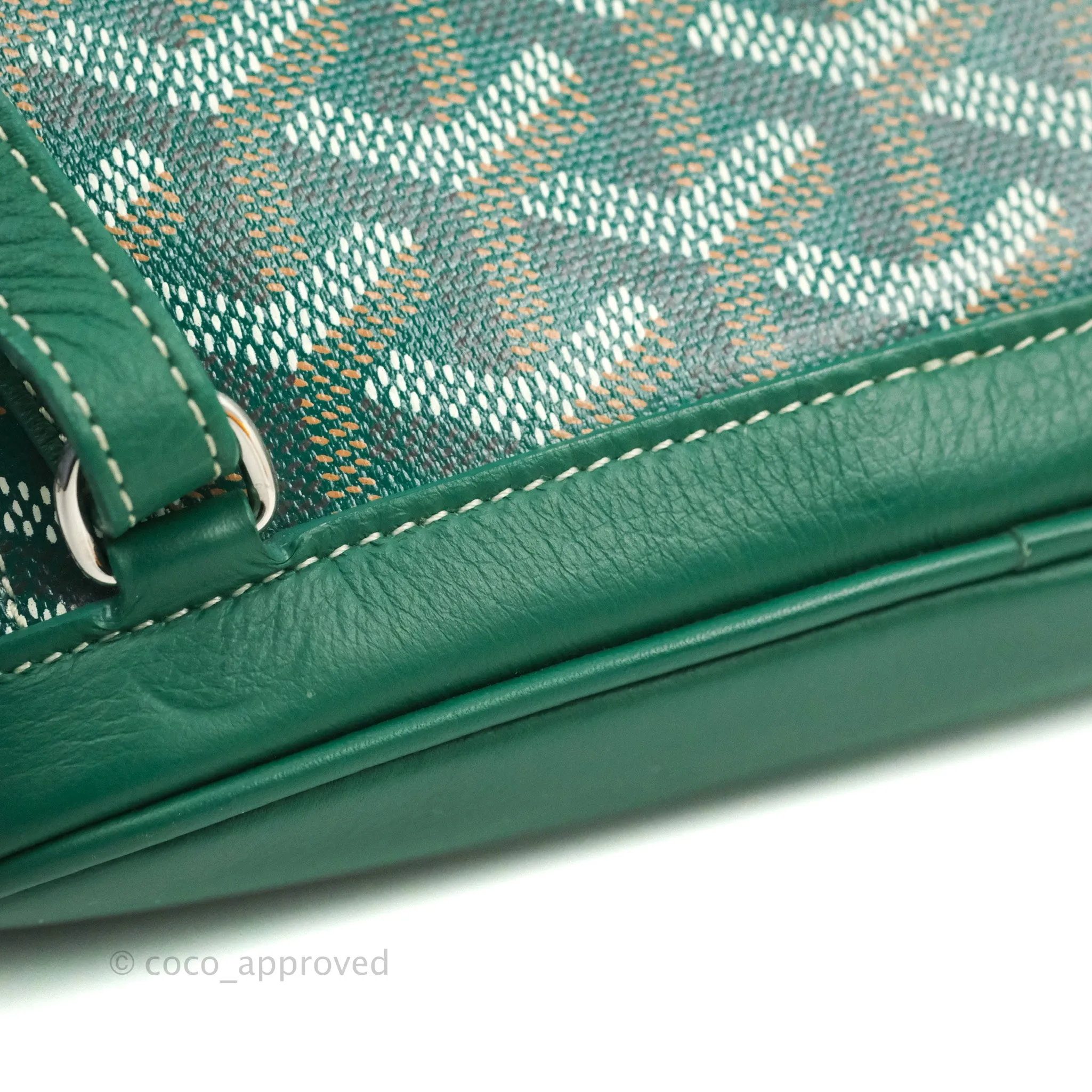 Goyard Mini Alpin Backpack Green Goyardine Calfskin