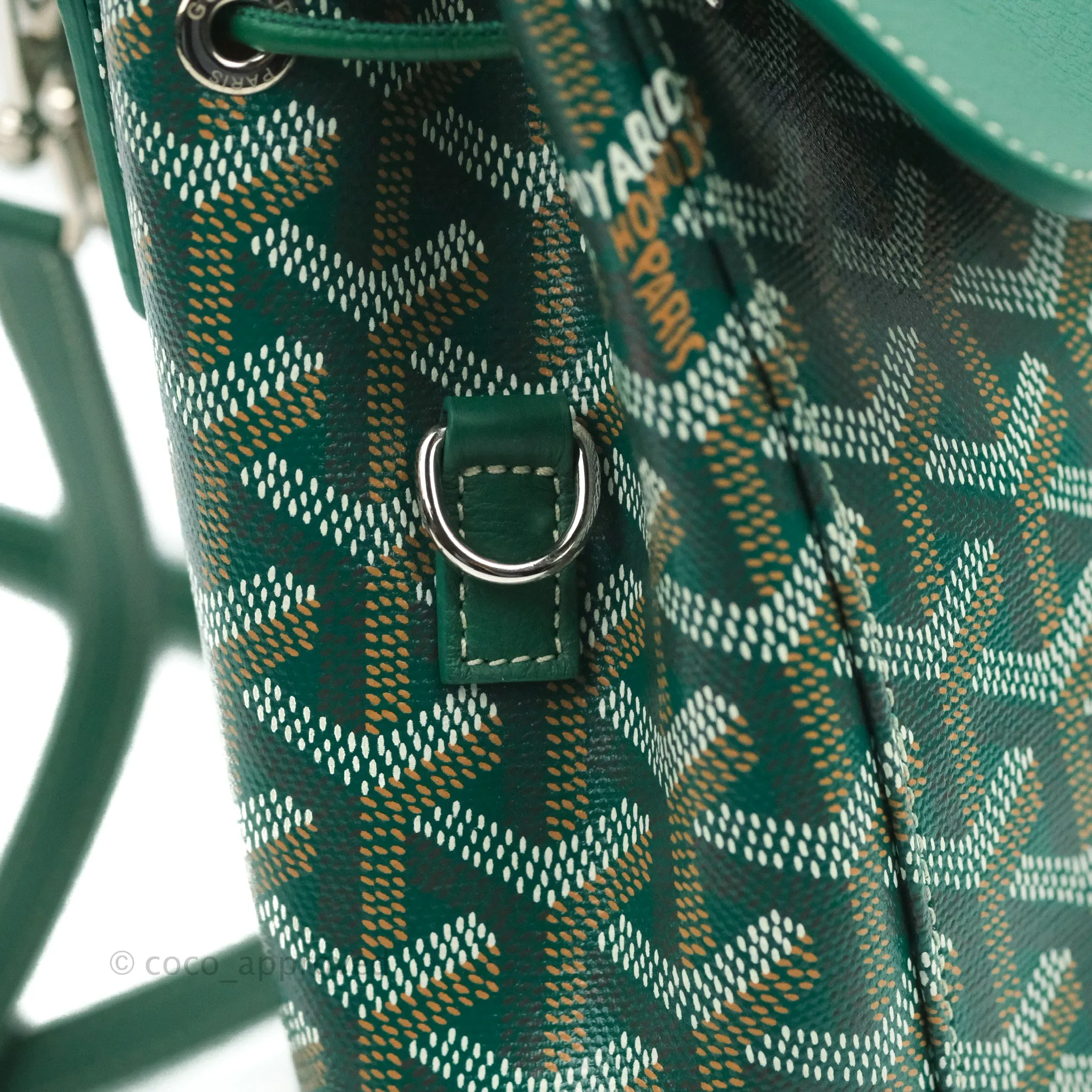 Goyard Mini Alpin Backpack Green Goyardine Calfskin