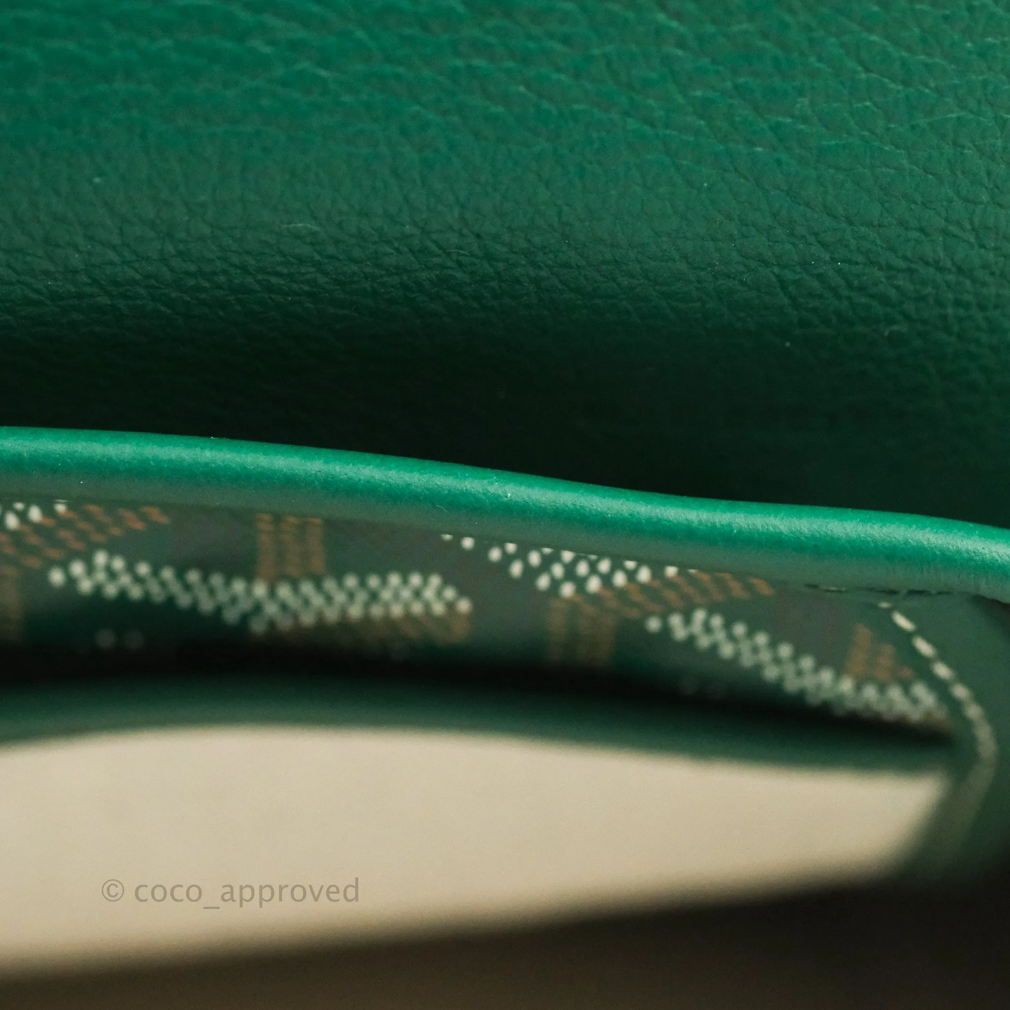 Goyard Mini Alpin Backpack Green Goyardine Calfskin