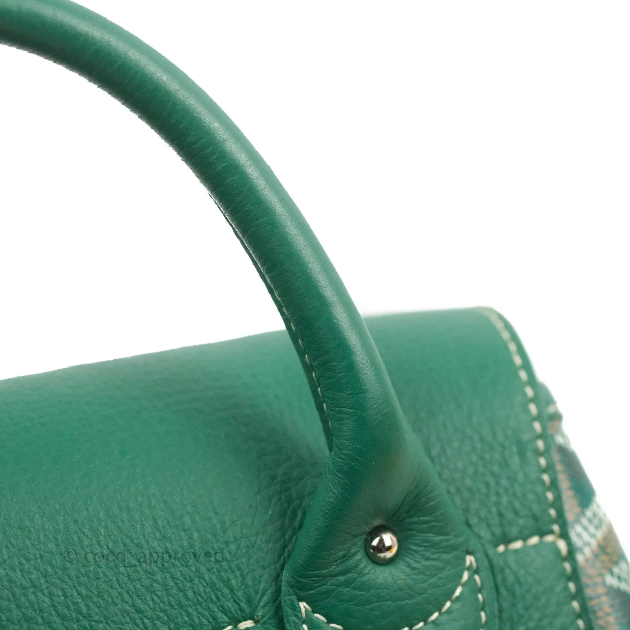 Goyard Mini Alpin Backpack Green Goyardine Calfskin