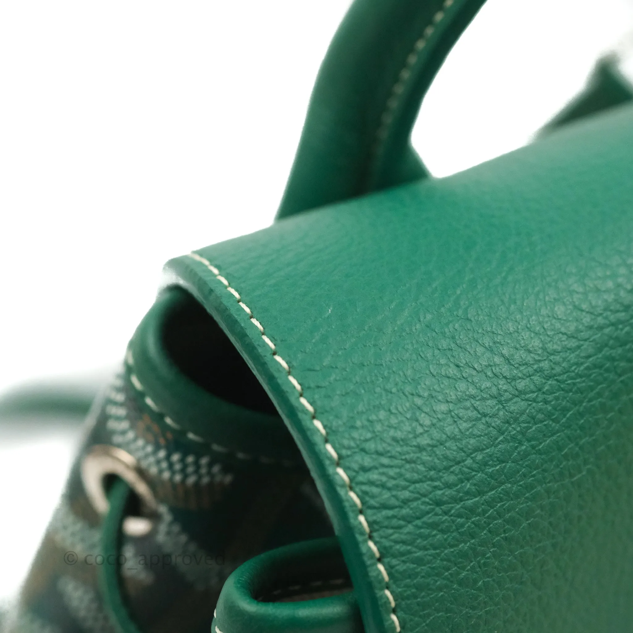 Goyard Mini Alpin Backpack Green Goyardine Calfskin