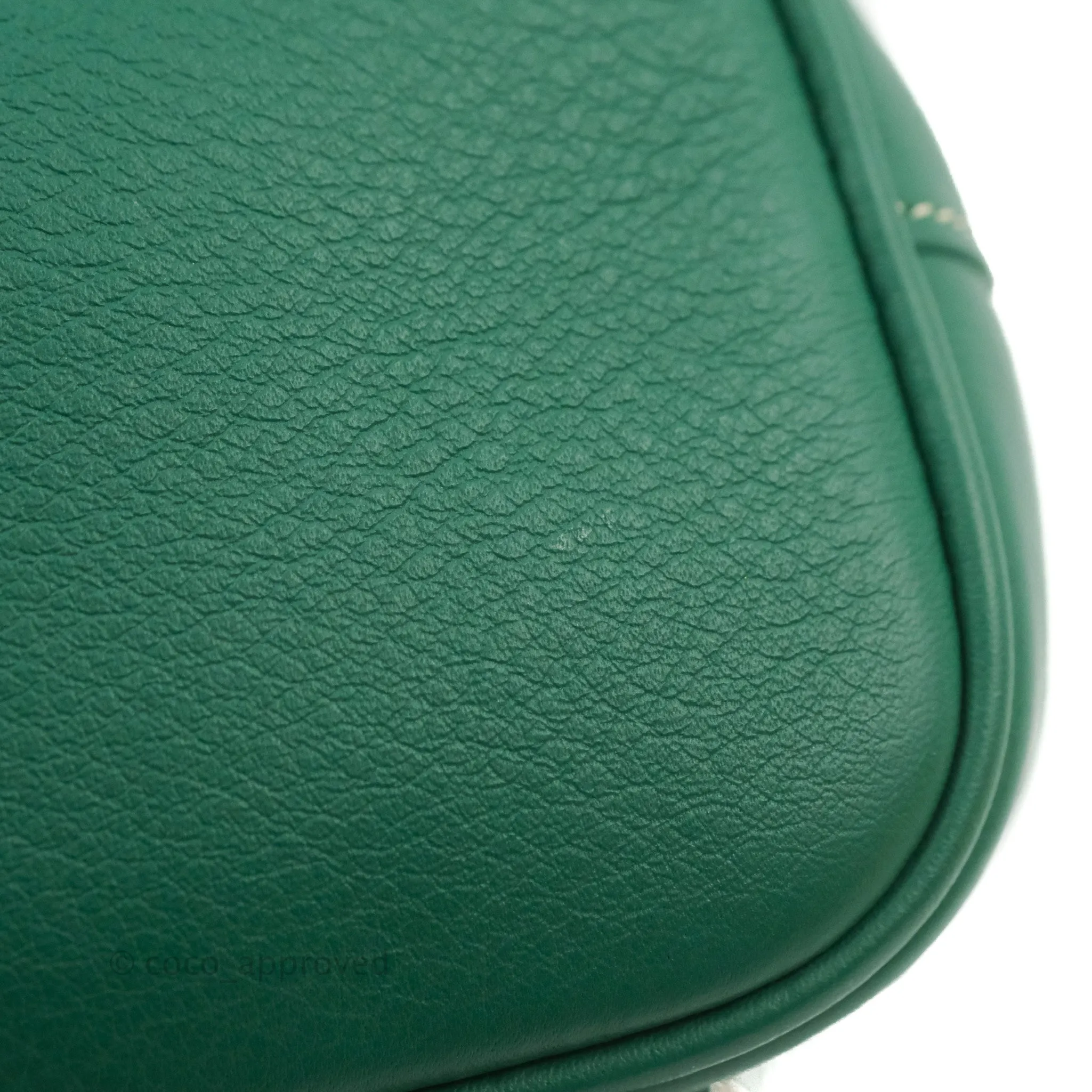Goyard Mini Alpin Backpack Green Goyardine Calfskin