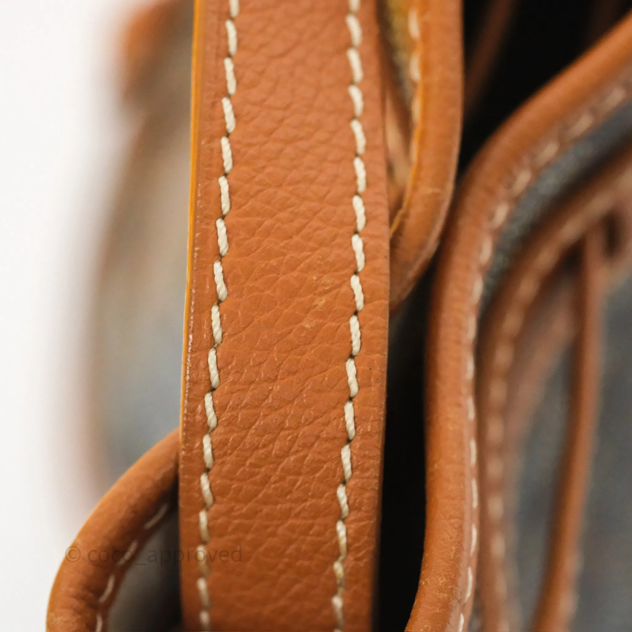 Goyard Petit Flot Bucket Bag Black & Tan Goyardine