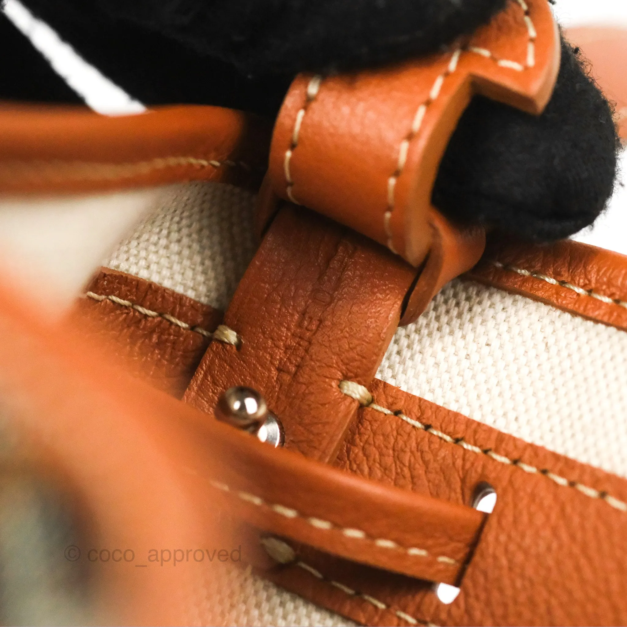 Goyard Petit Flot Bucket Bag Black & Tan Goyardine