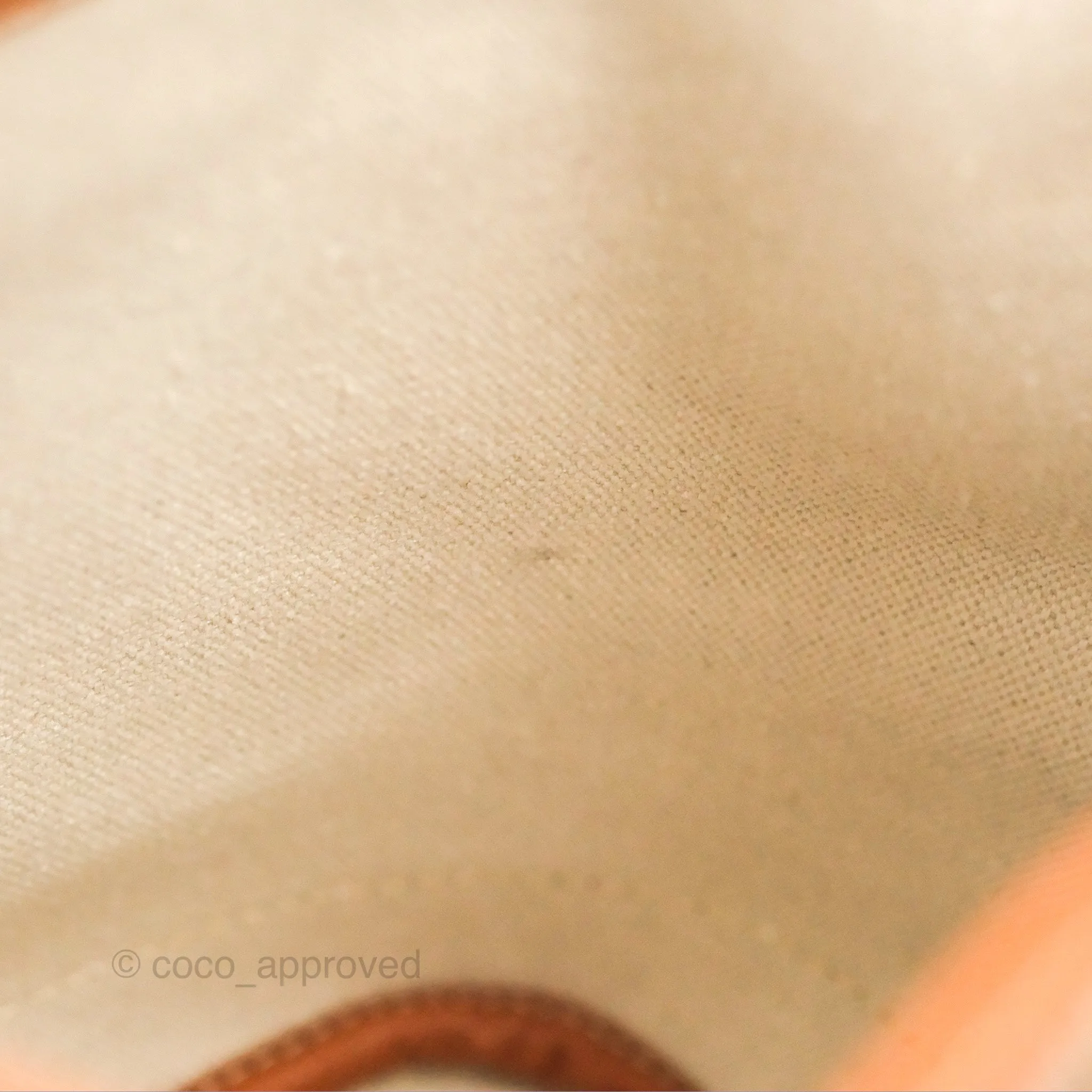 Goyard Petit Flot Bucket Bag Black & Tan Goyardine