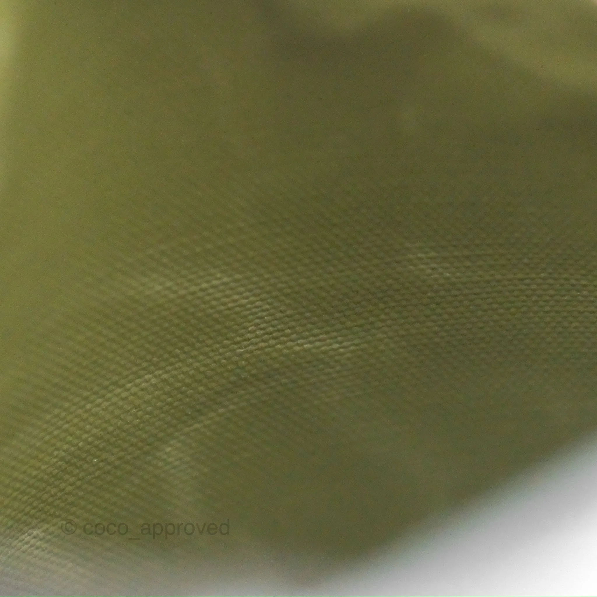 Goyard Poitiers Claire Voie Tote Canvas Khaki