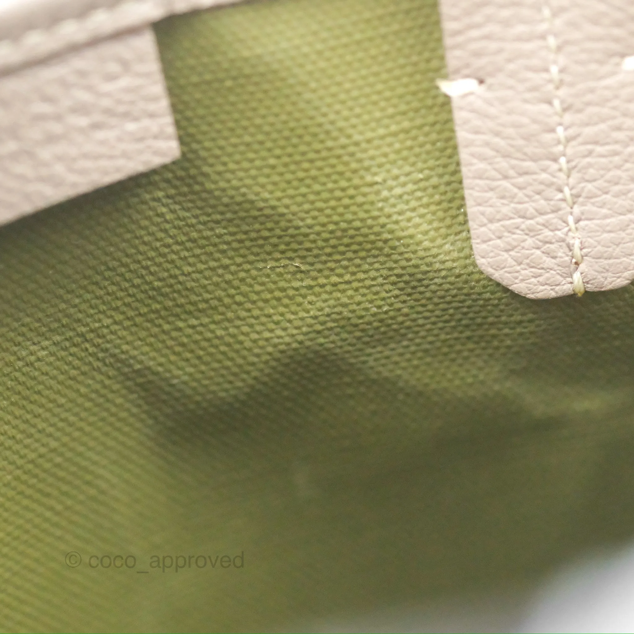 Goyard Poitiers Claire Voie Tote Canvas Khaki