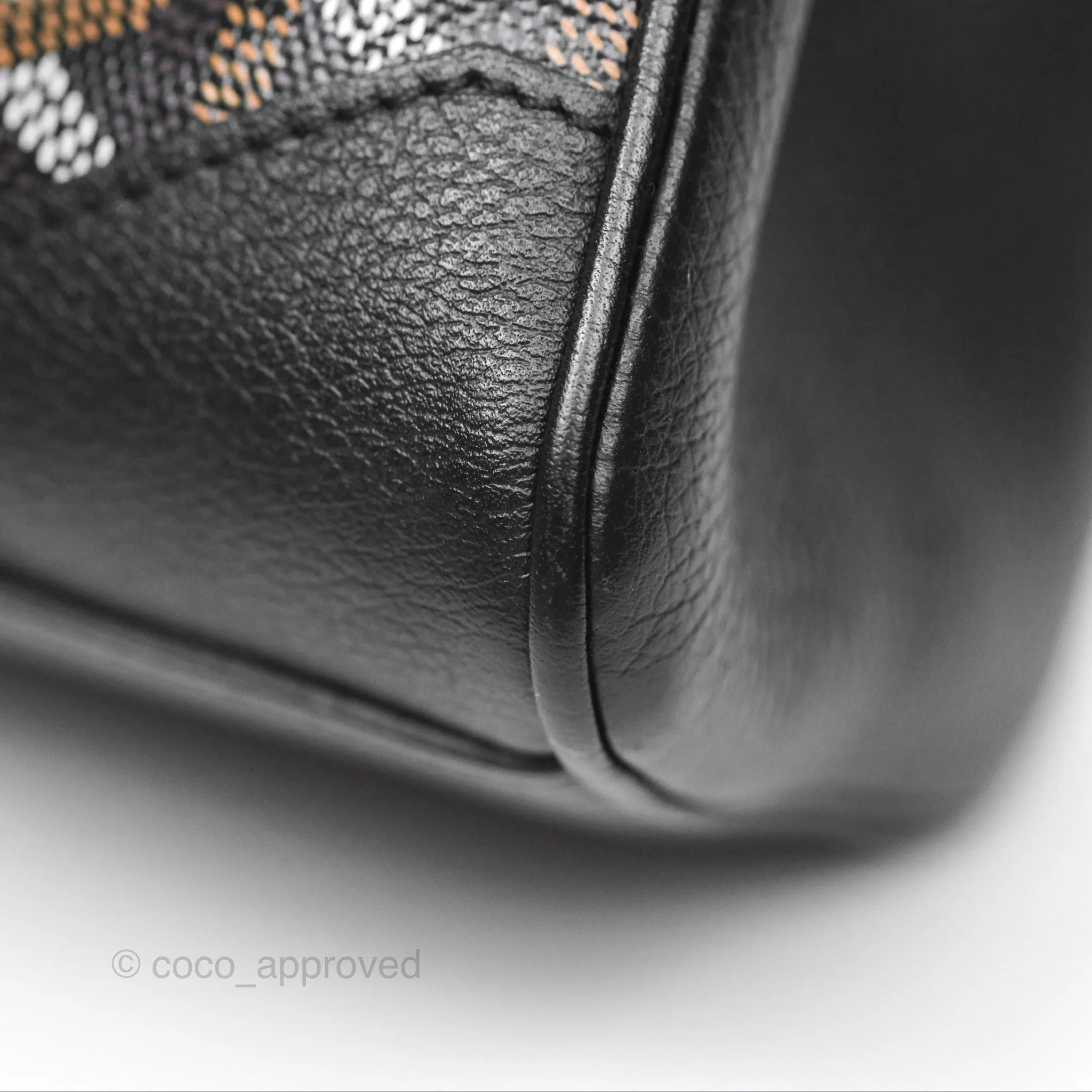 Goyard Sagon Mini Bag Chevroches Calfskin Black