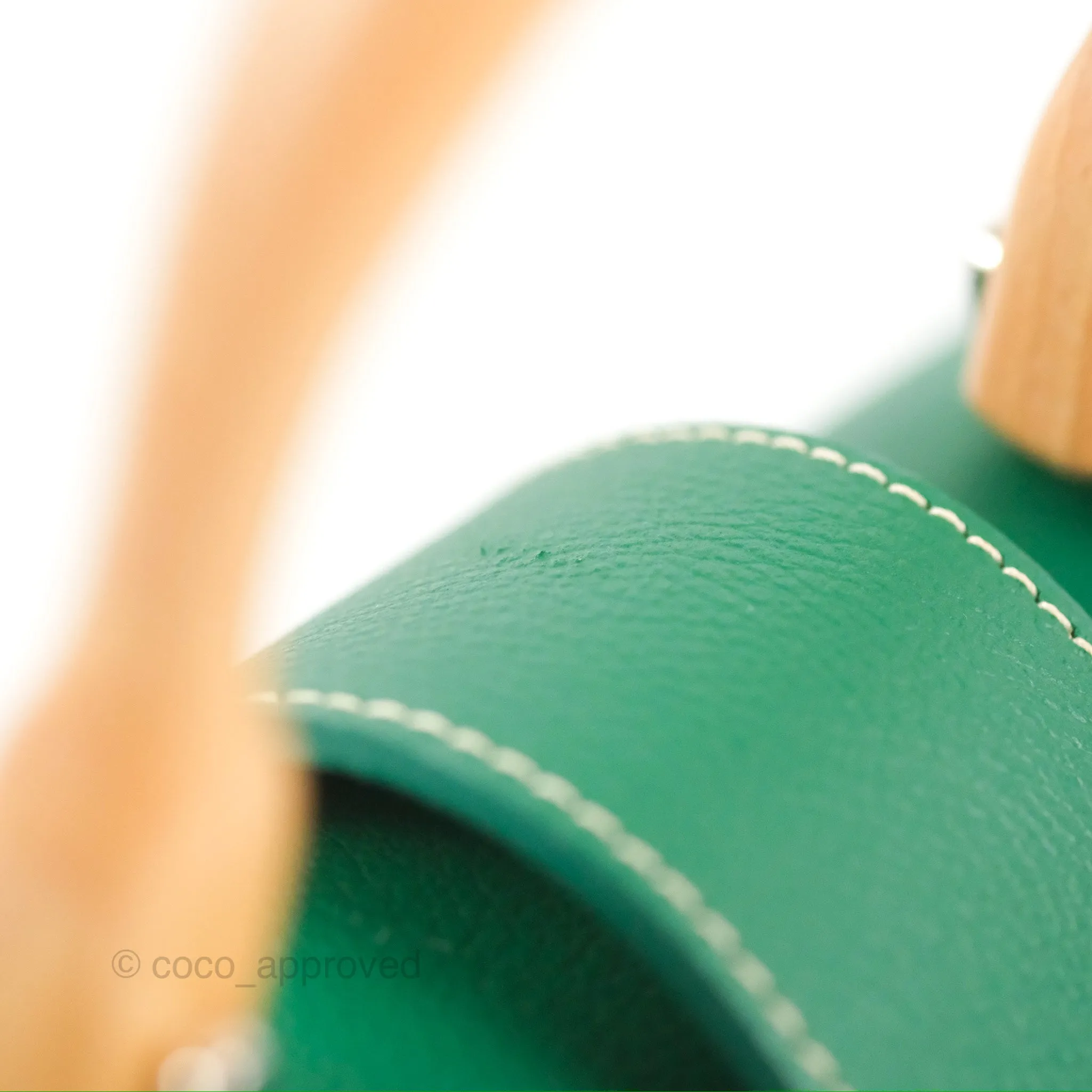 Goyard Sagon Mini Bag Green Goyardine Canvas/Chevroches Calfskin