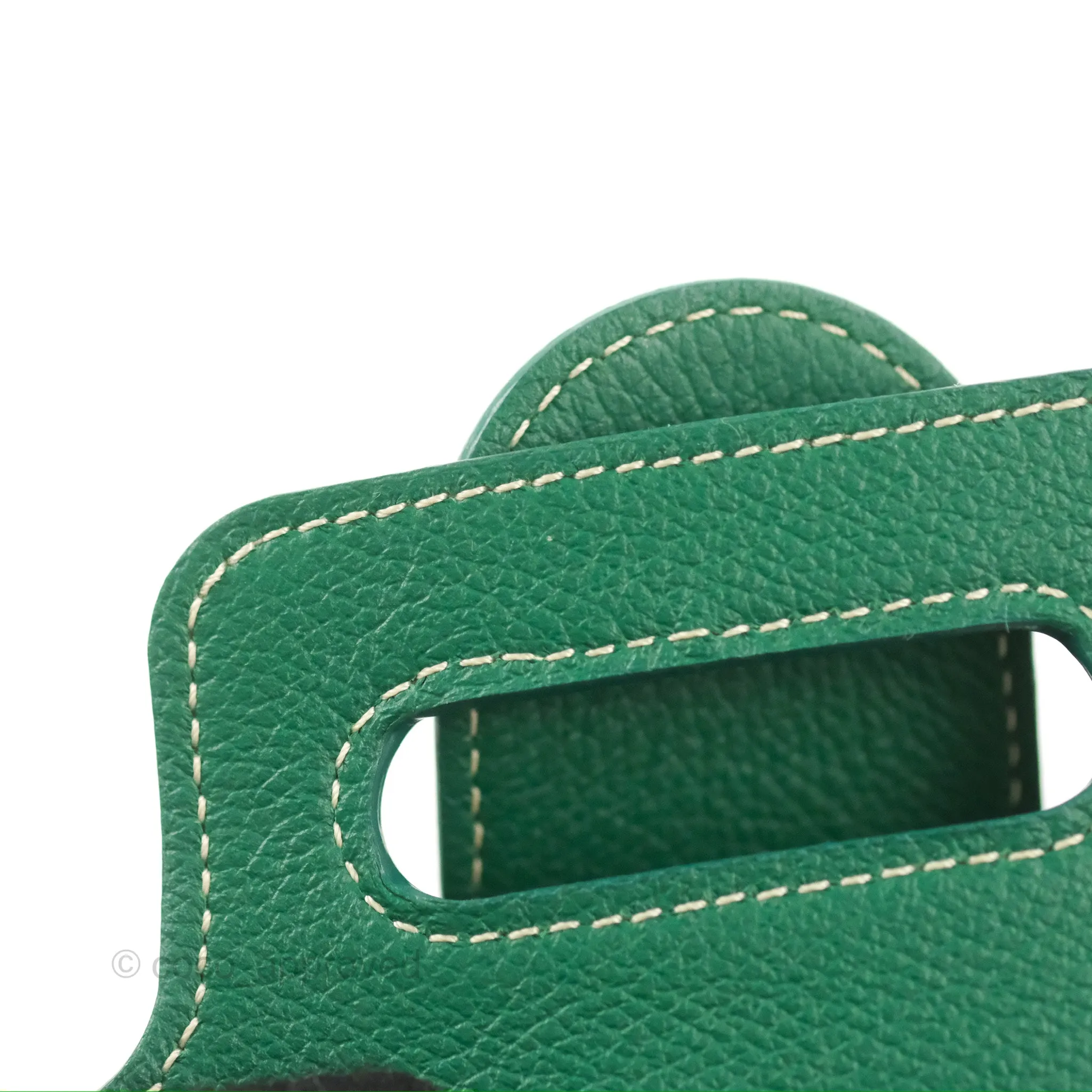 Goyard Sagon Mini Bag Green Goyardine Canvas/Chevroches Calfskin