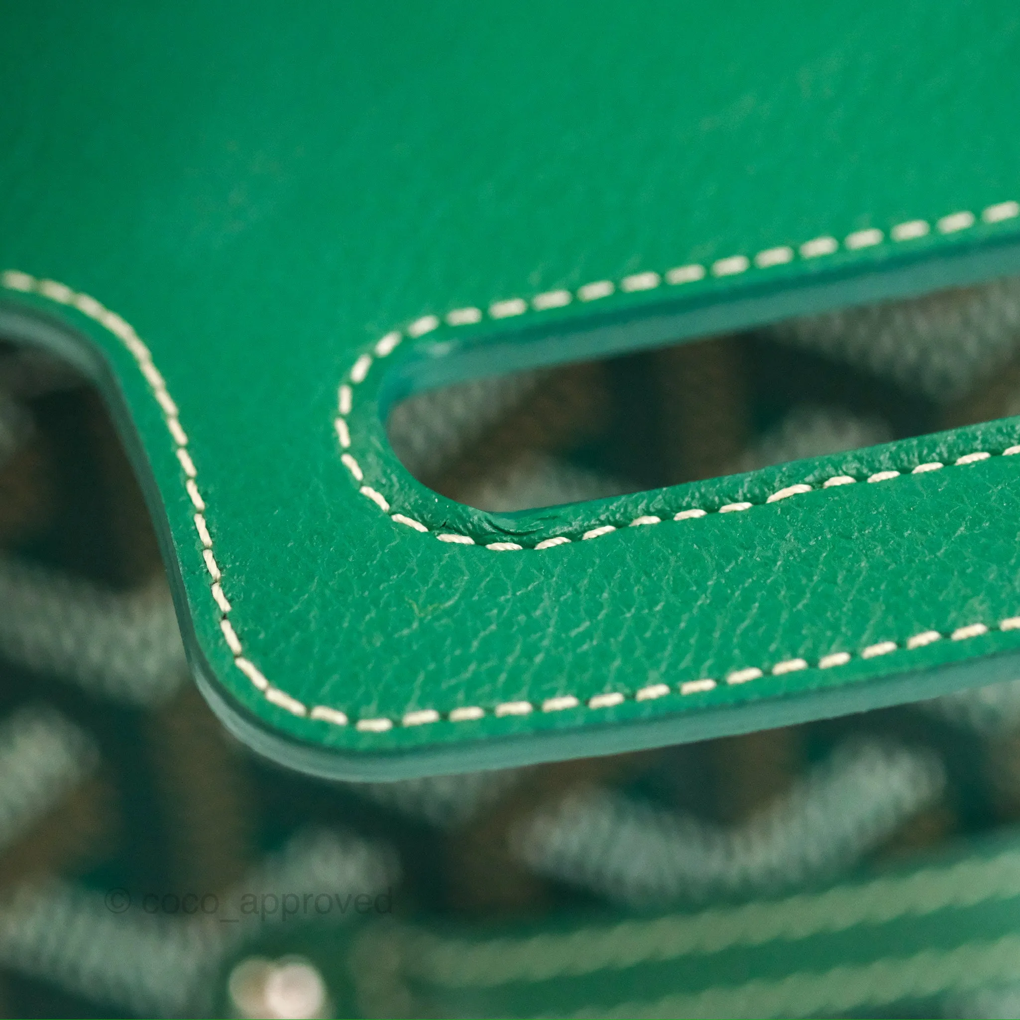 Goyard Sagon Mini Bag Green Goyardine Canvas/Chevroches Calfskin