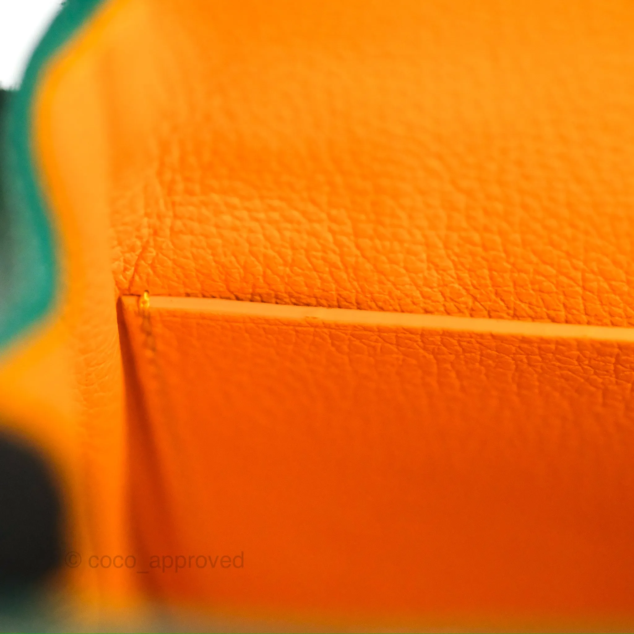 Goyard Sagon Mini Bag Green Goyardine Canvas/Chevroches Calfskin