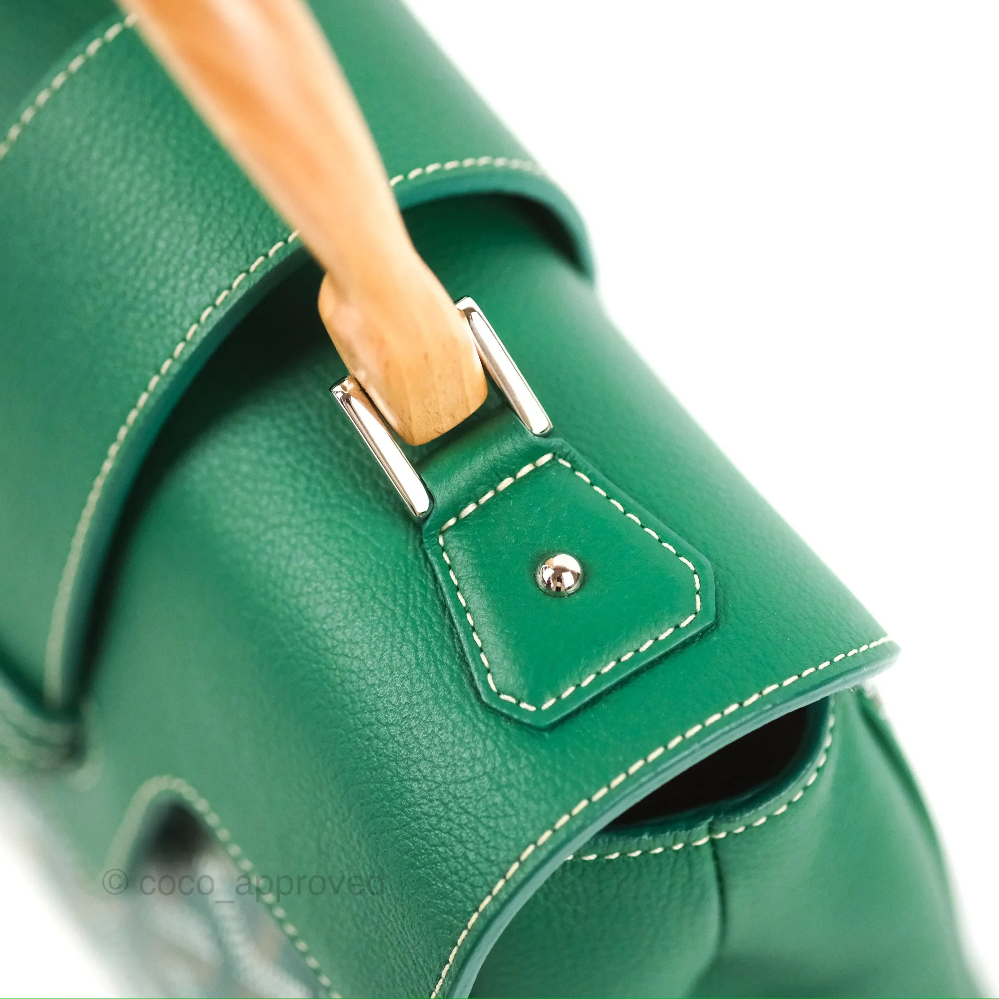 Goyard Sagon Mini Bag Green Goyardine Canvas/Chevroches Calfskin